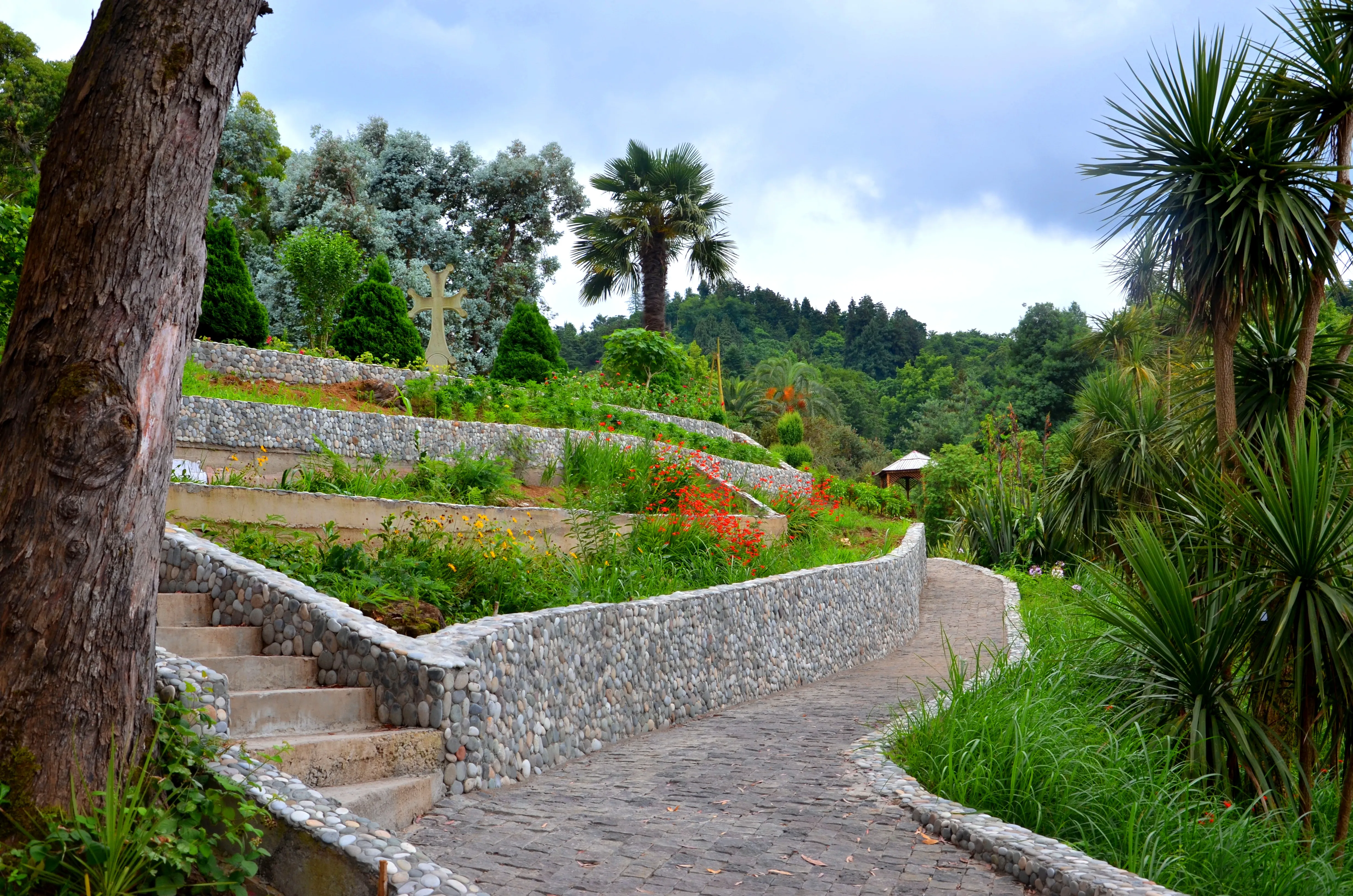 Batumi Botanical Garden