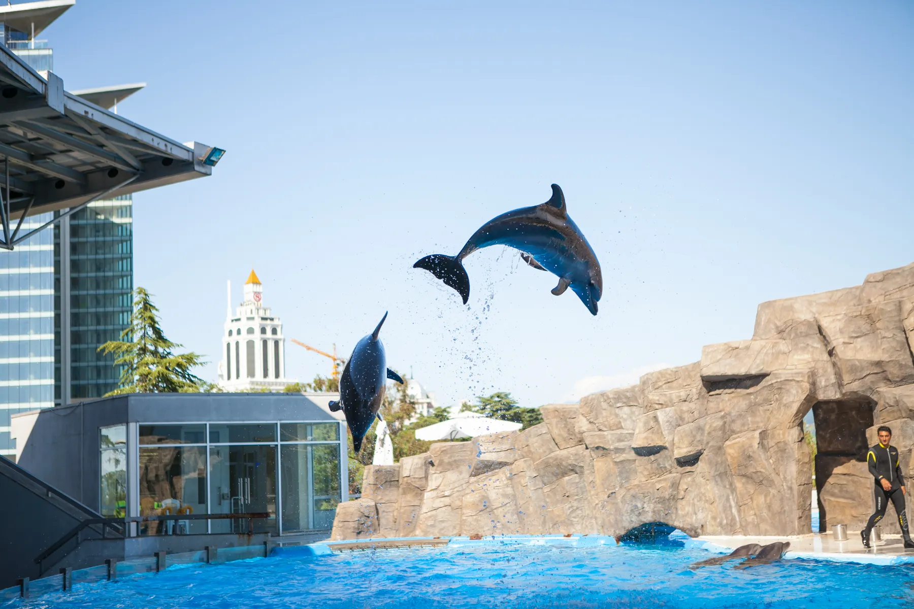 Batumi Dolphinarium