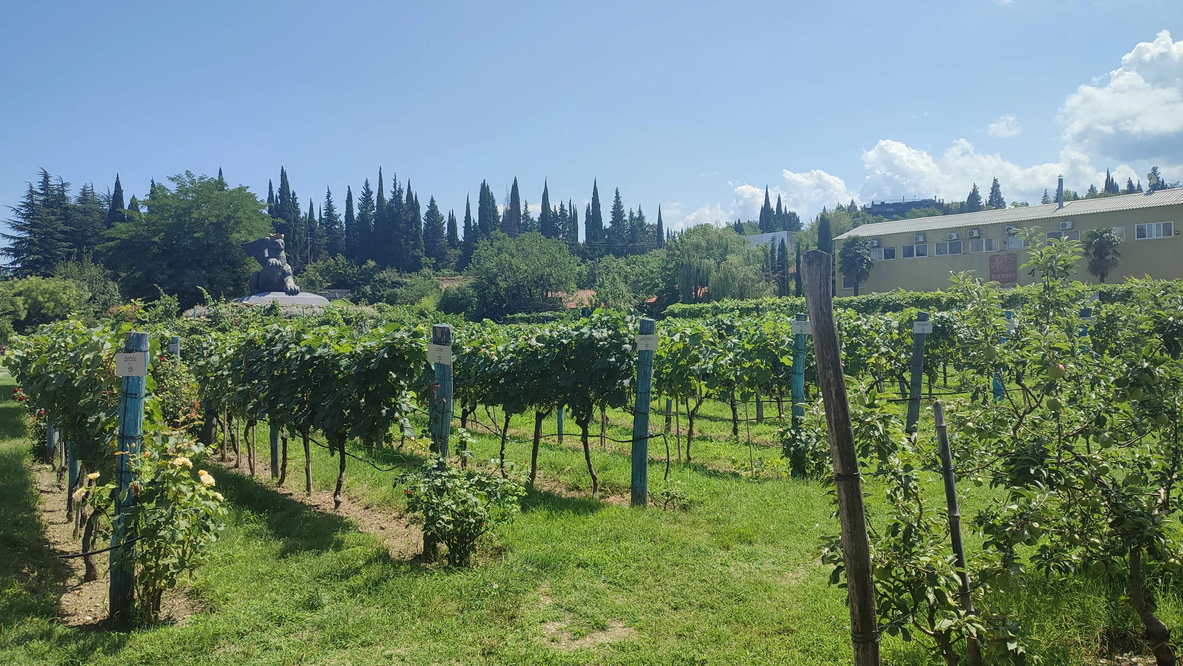 Shumi Winery