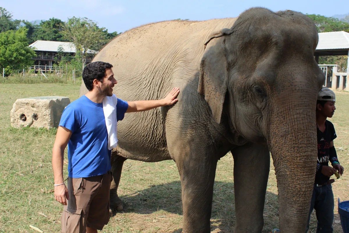 I Love Elephant Samui