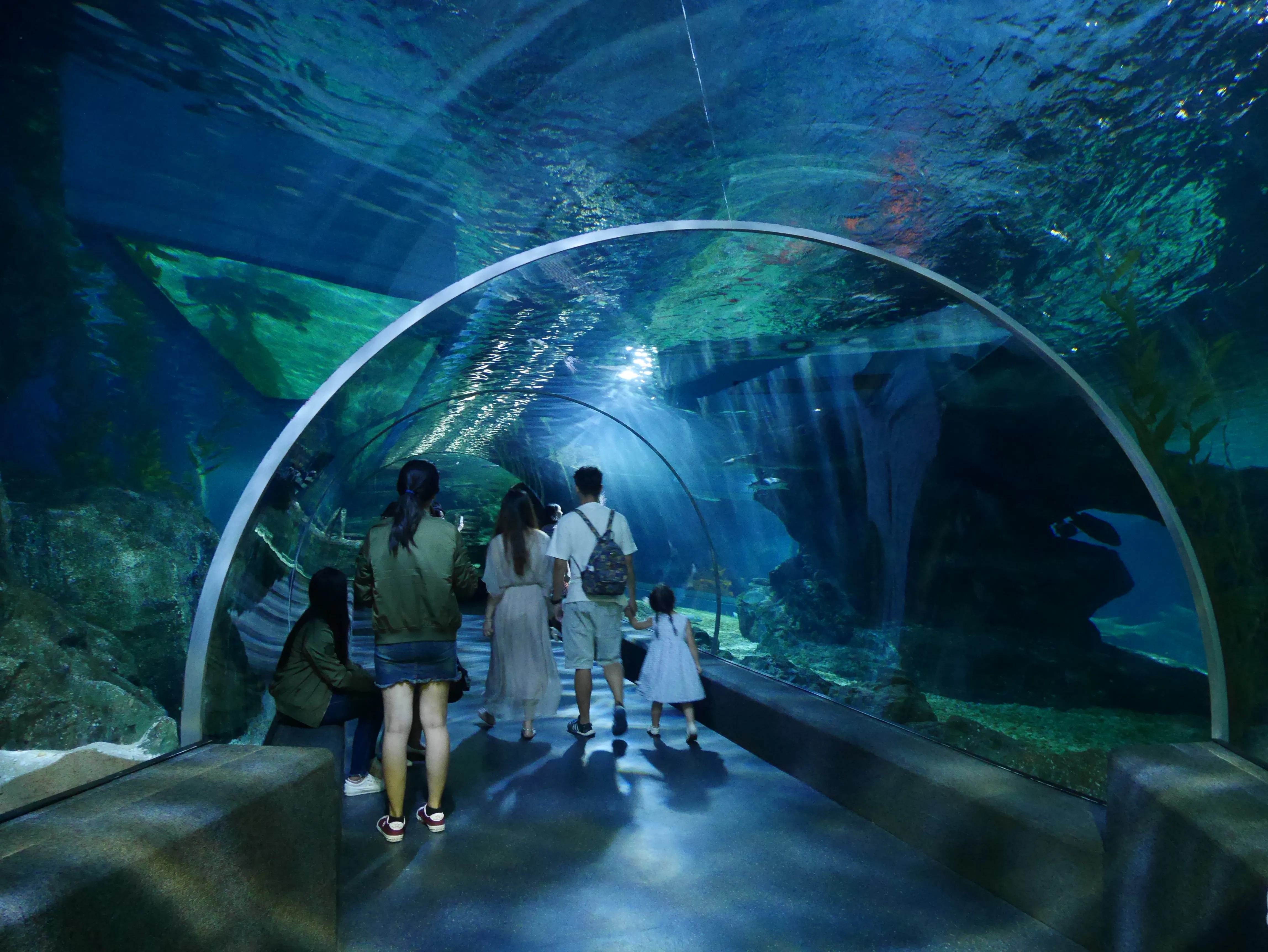 Sea Life Bangkok Ocean World
