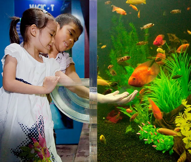 Underwater World Pattaya