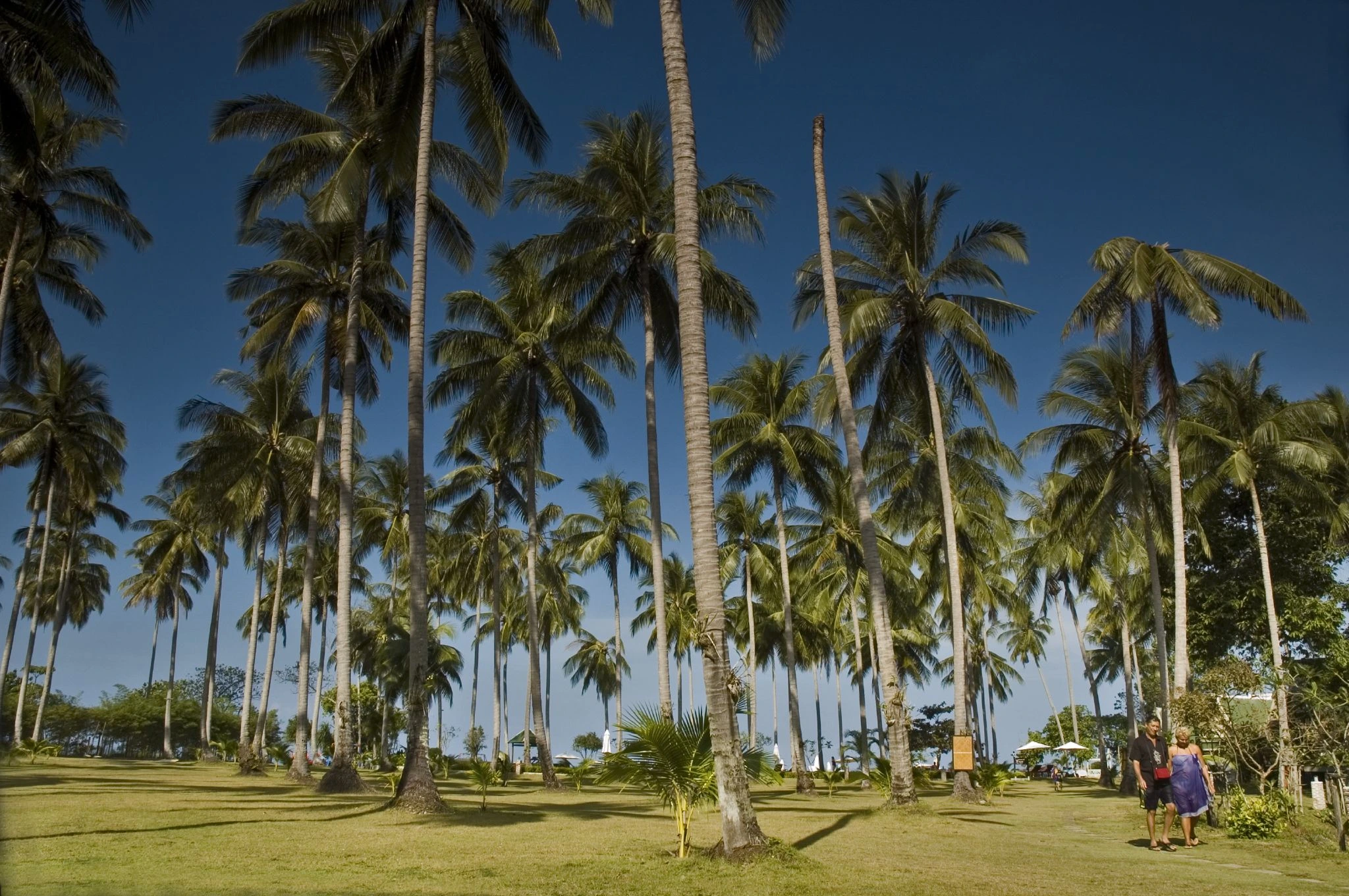 Chang Siam Park