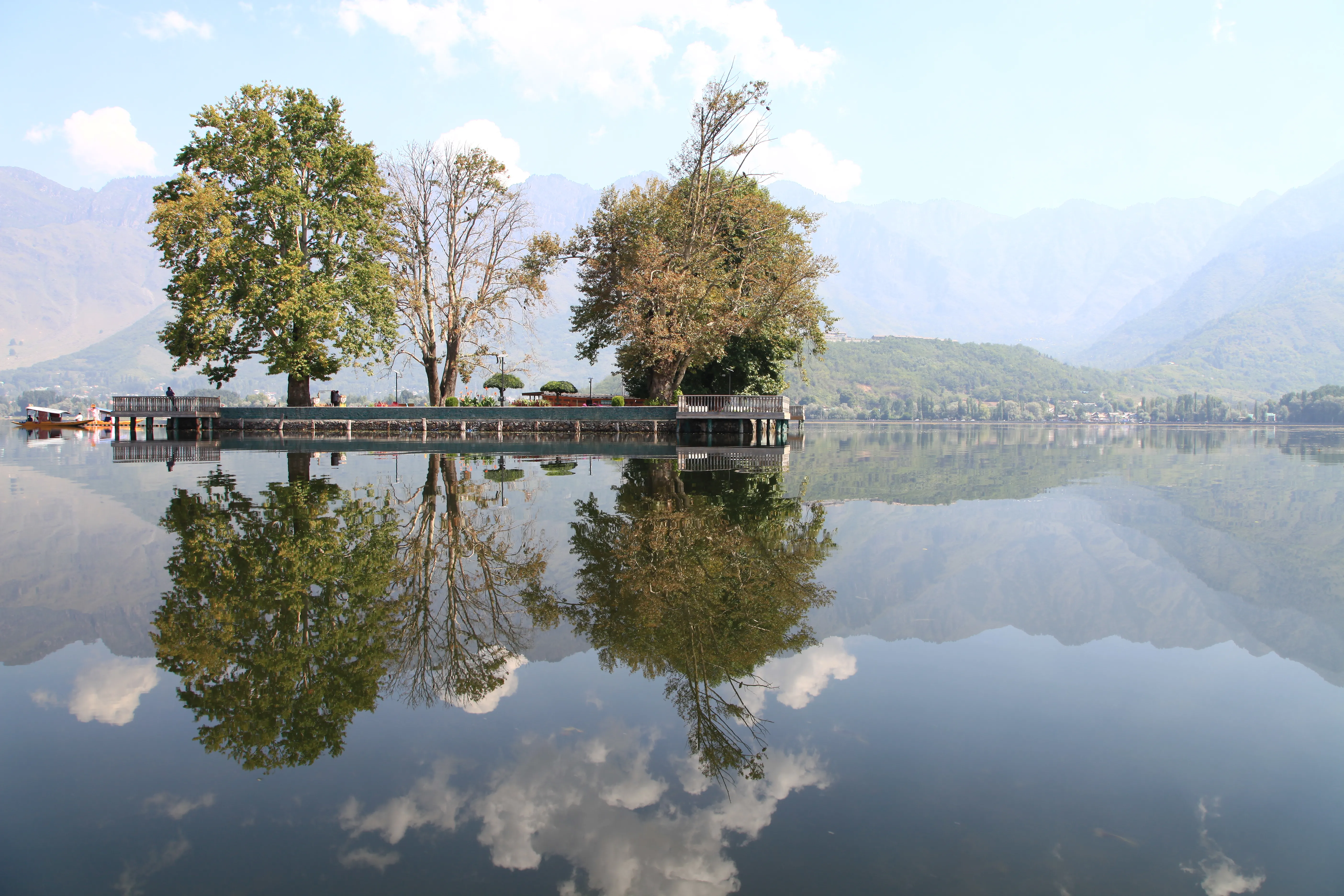 Char Chinar