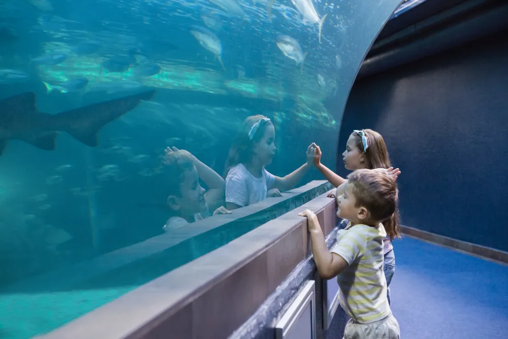 The Lost Chambers Aquarium at Aquaventure World