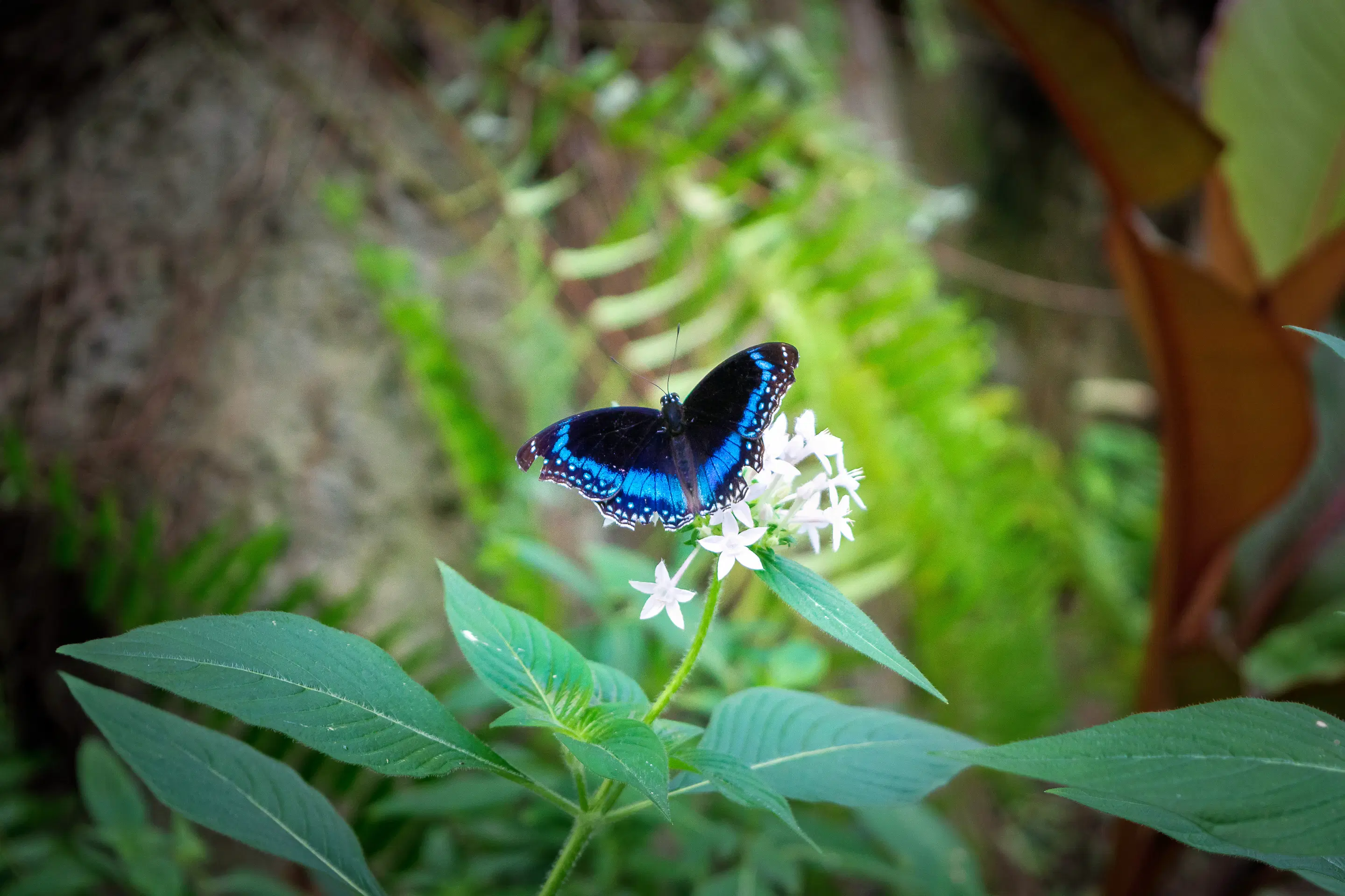 Mumbai Zoo