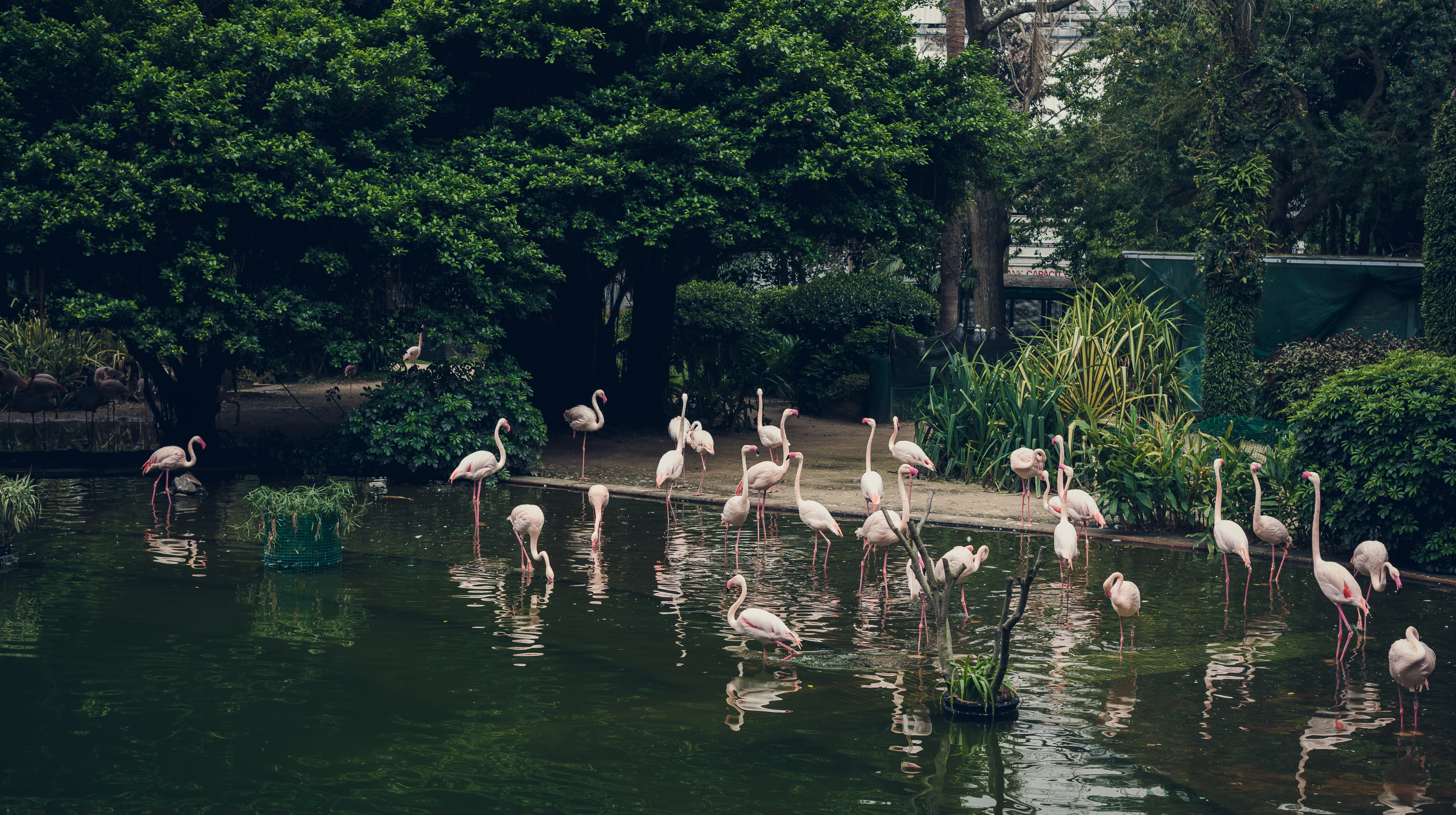 Bird Park