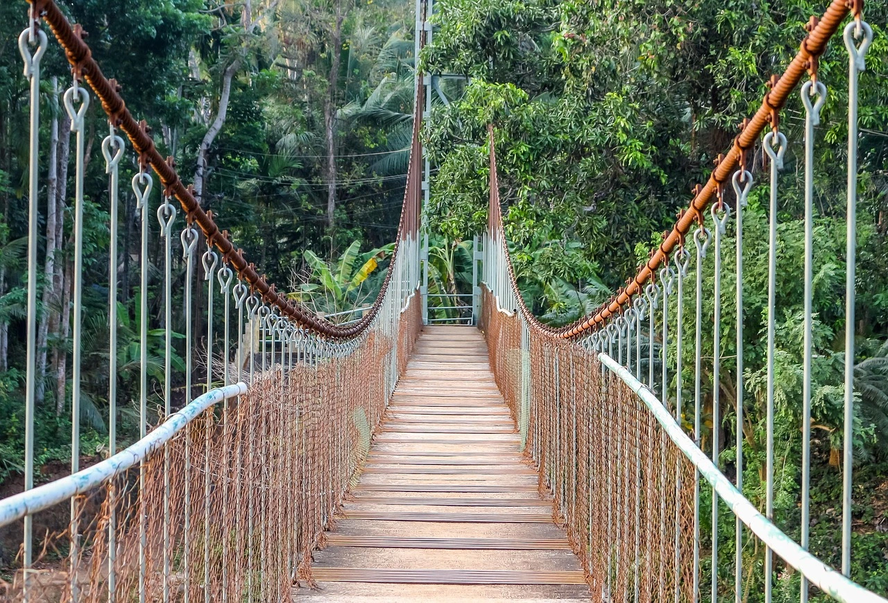 Hanging Bridge 6th Mile