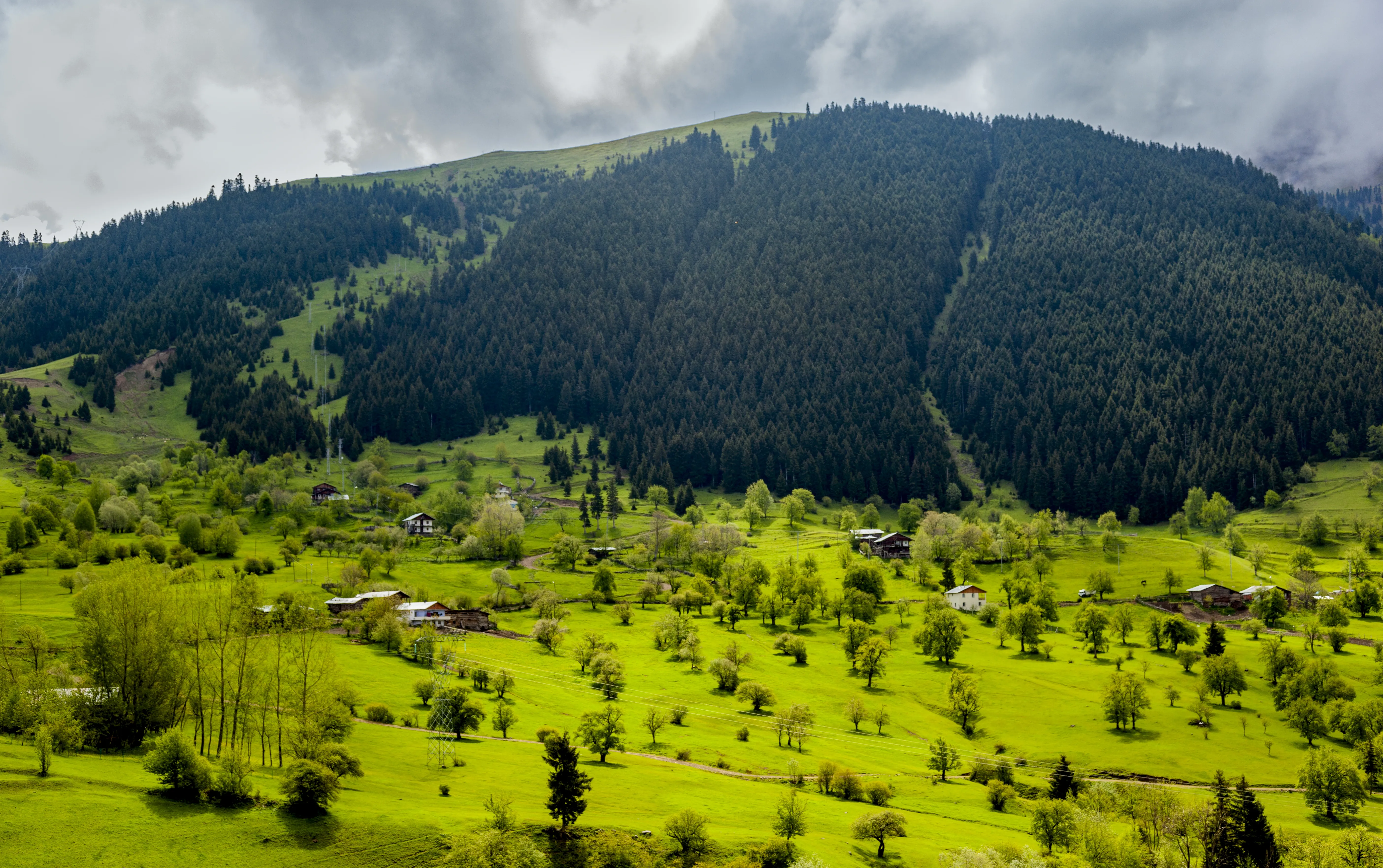 Strawberry Valley