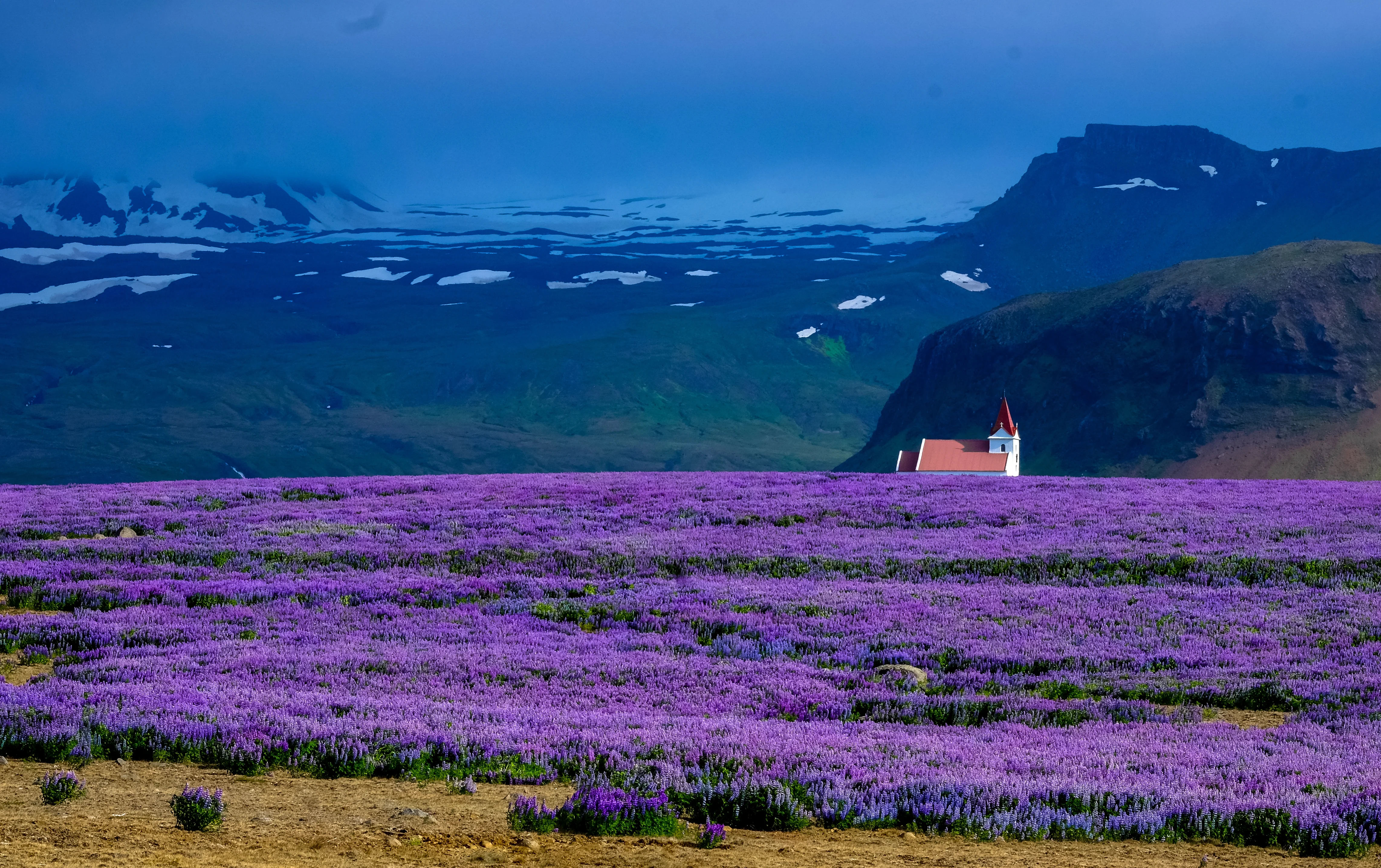 Lavender Park