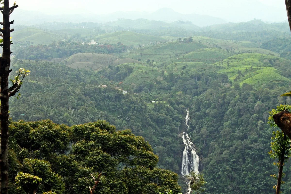 Neelimala View Point