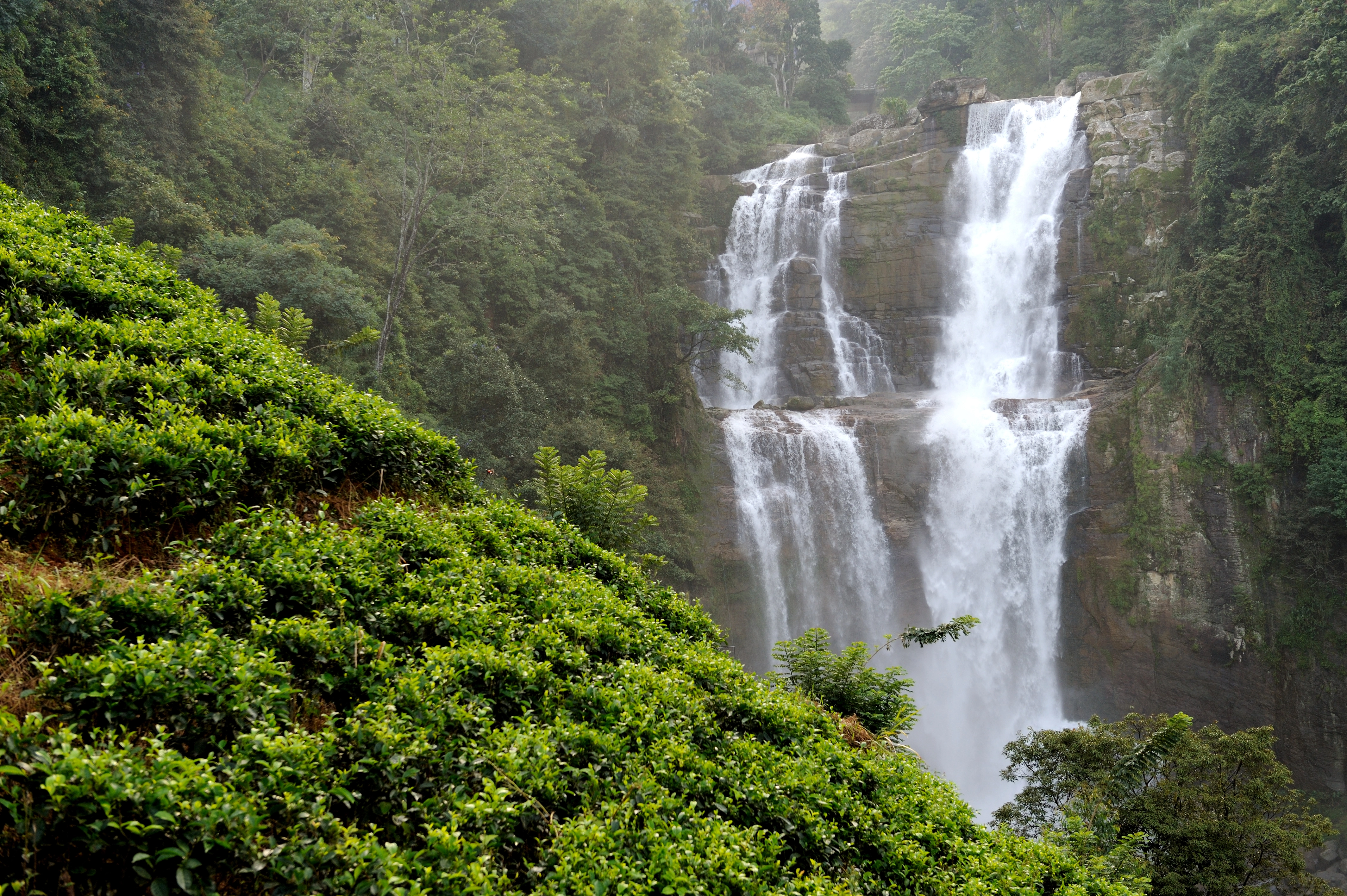 Thusharagiri Waterfalls