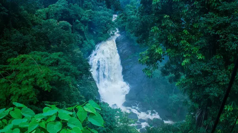 Cheeyappara Waterfalls