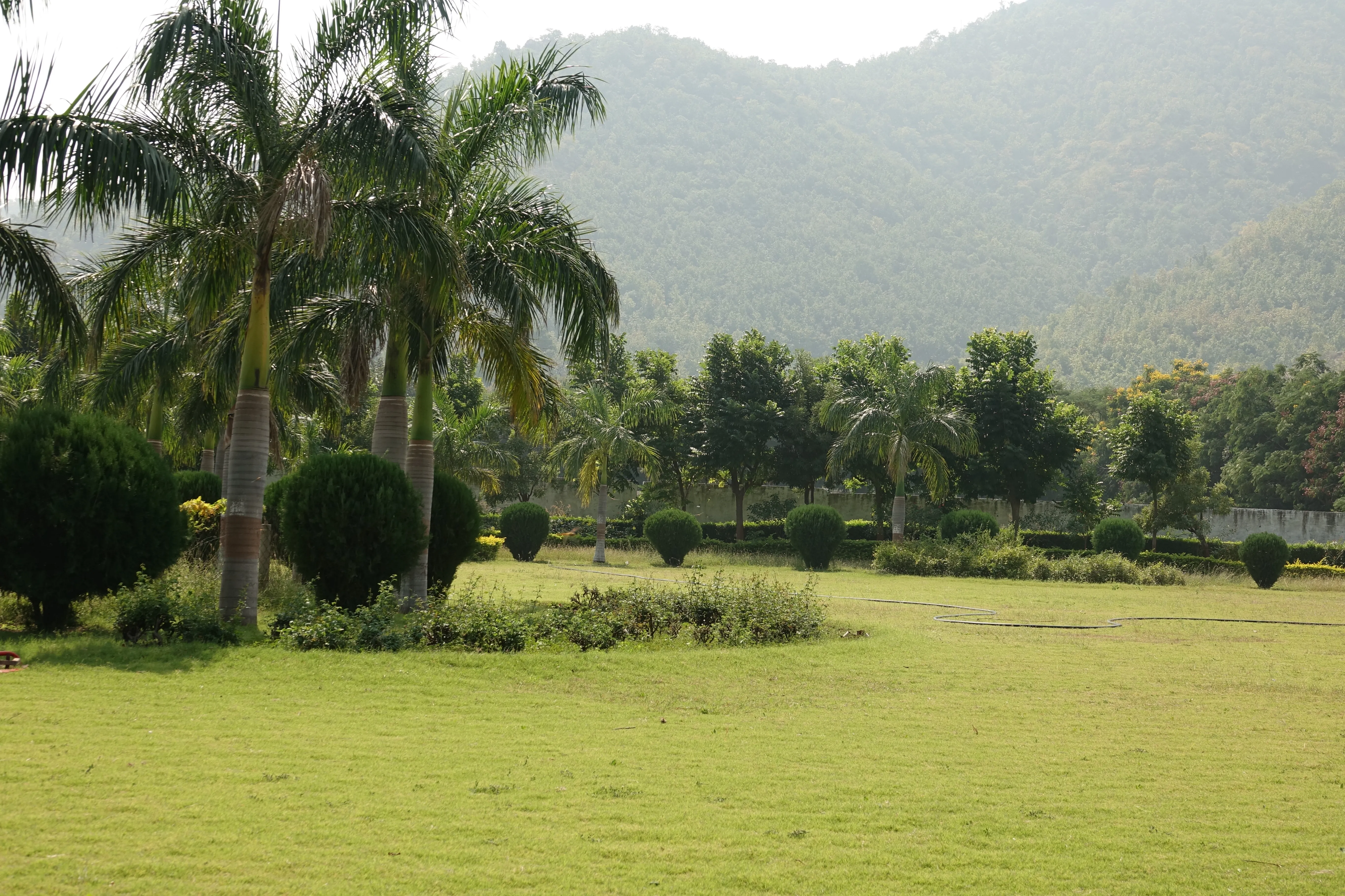 Heritage Garden