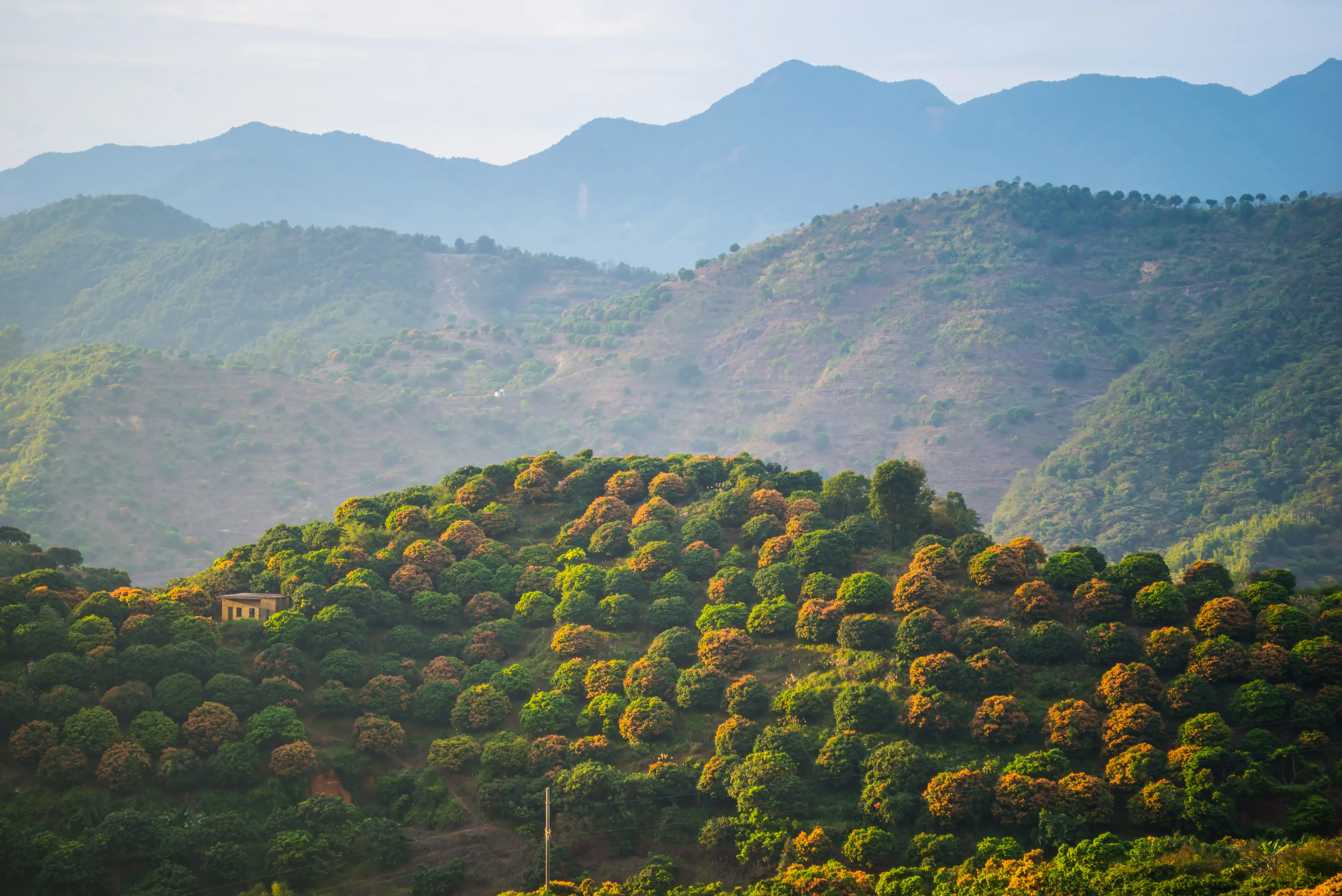 Arimbra Hills