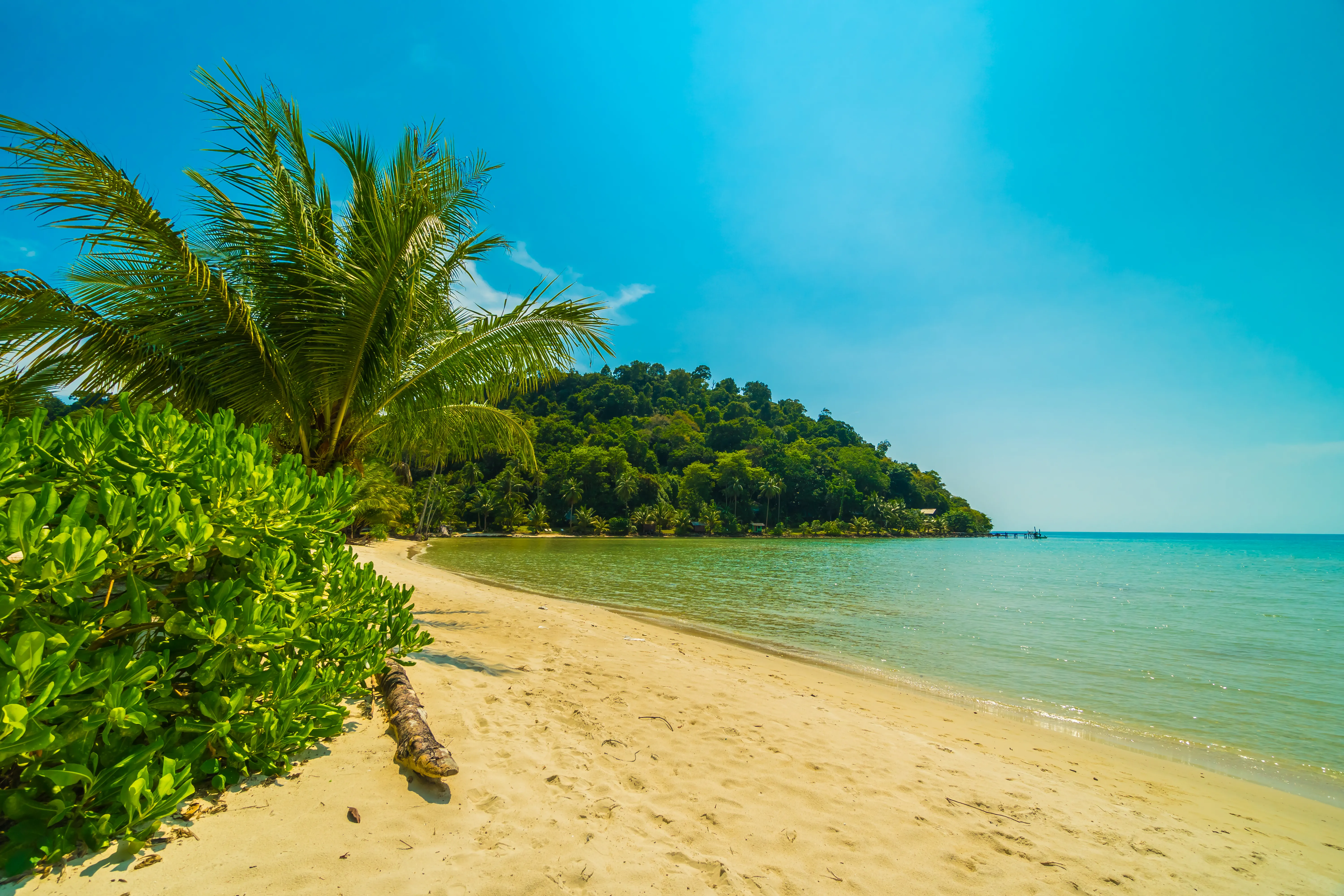 Marari Beach