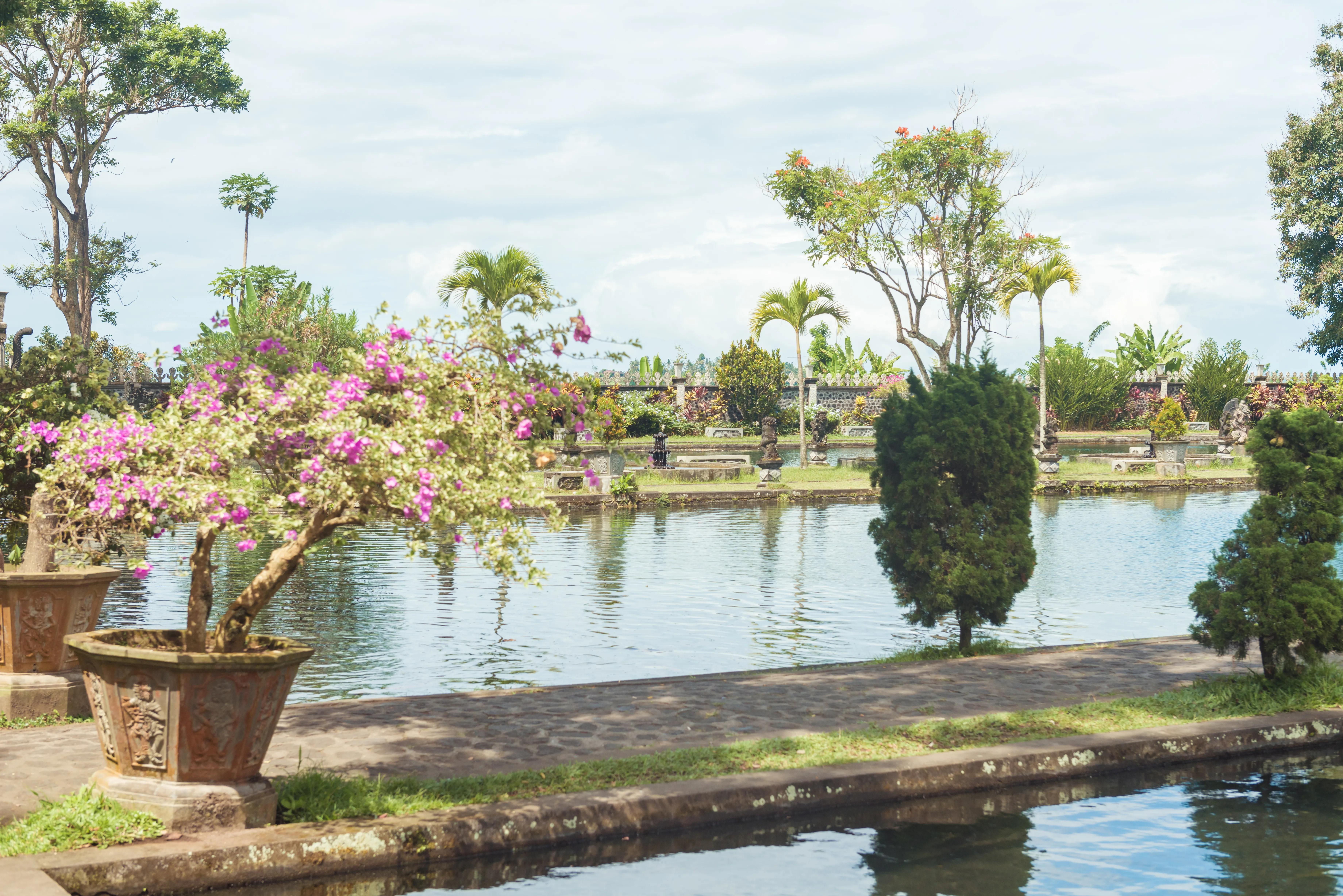 Island Garden
