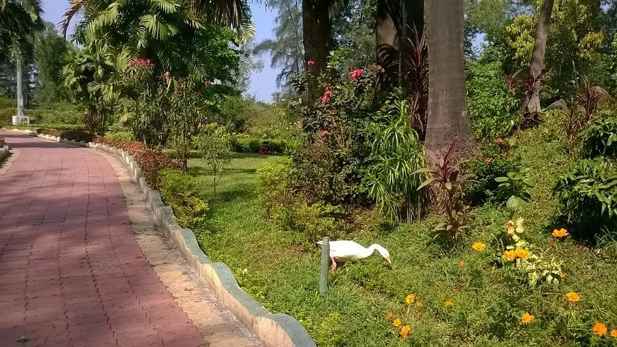 Hirwa Van Garden