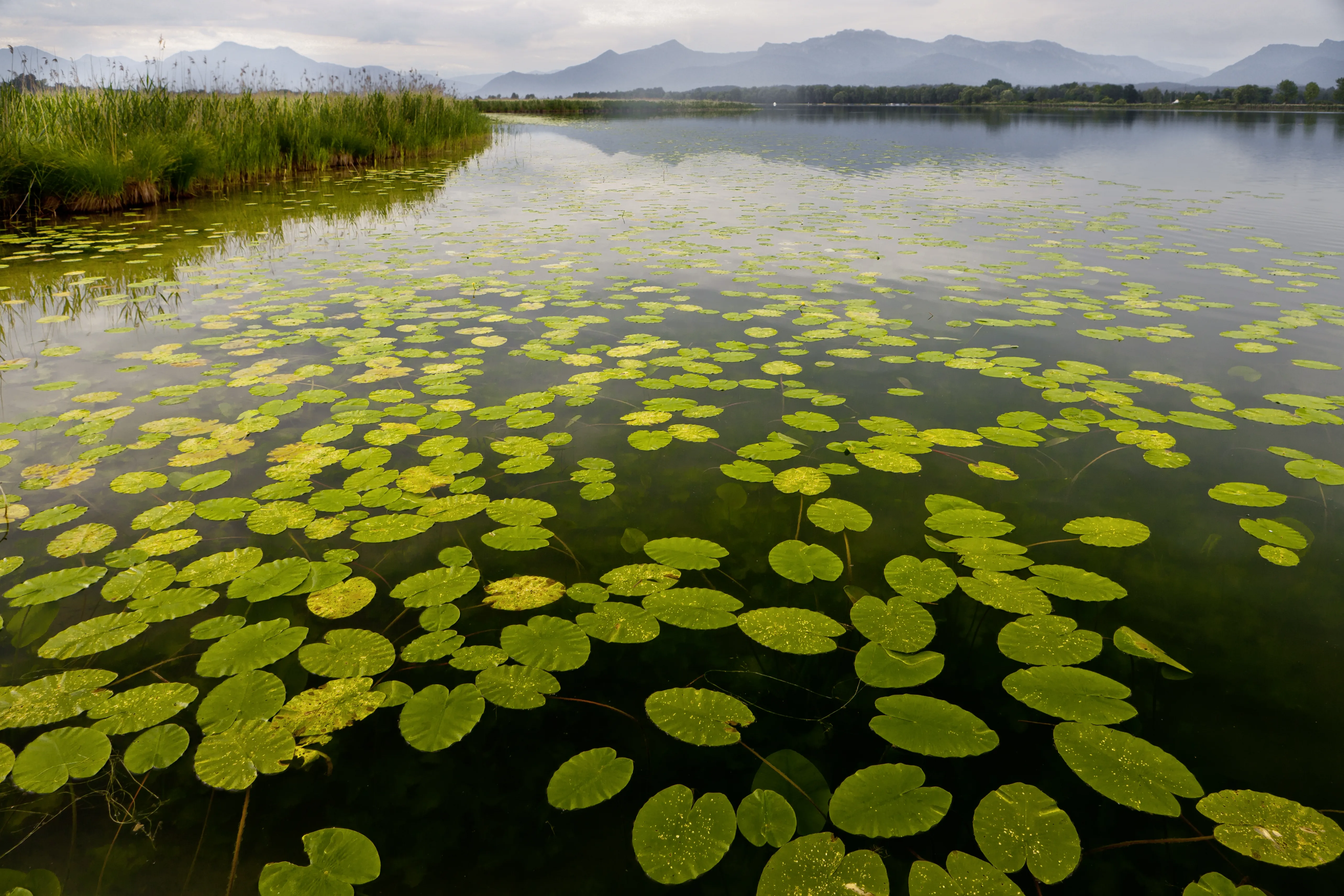 Gulawat Lotus Valley