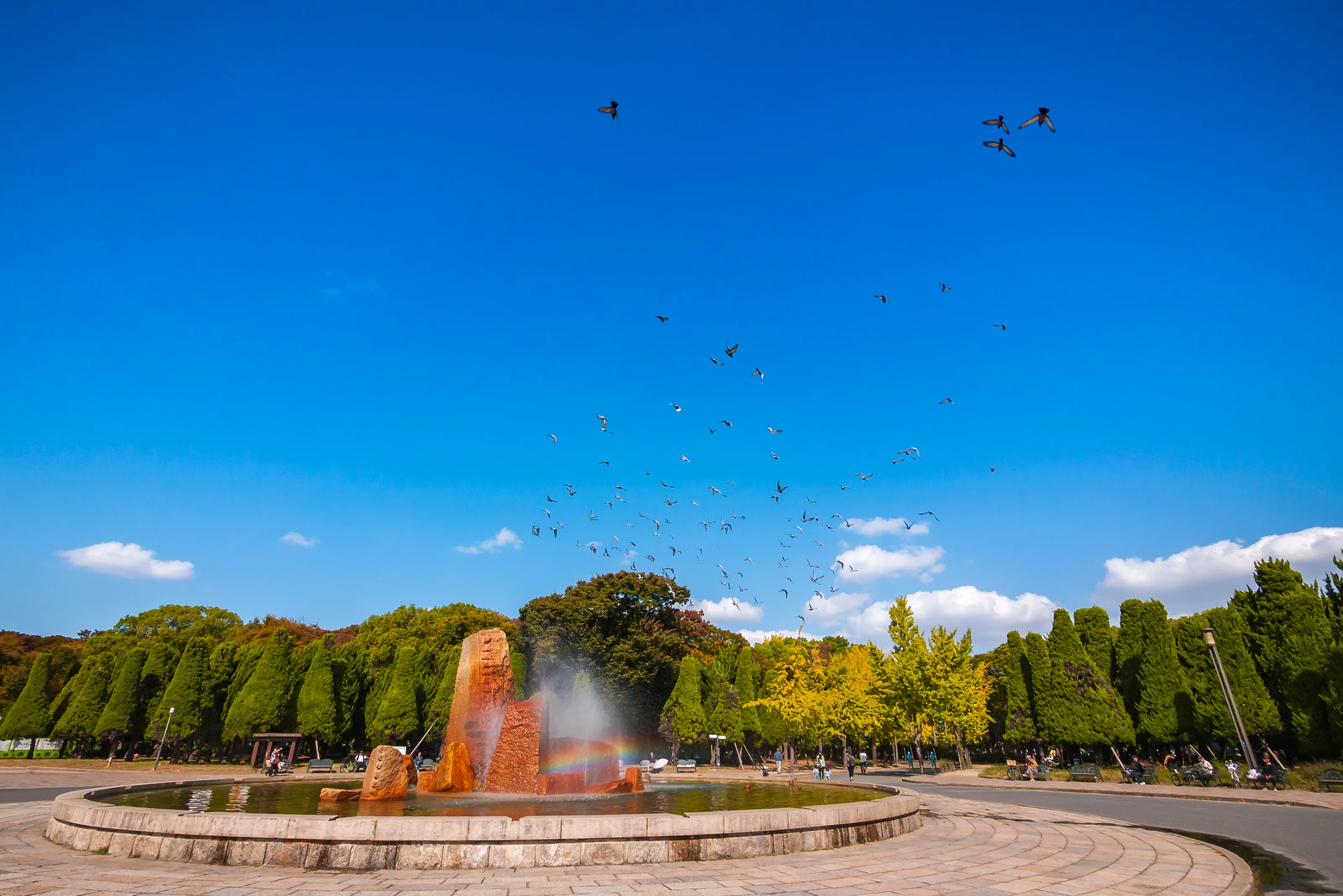 Nehru Park