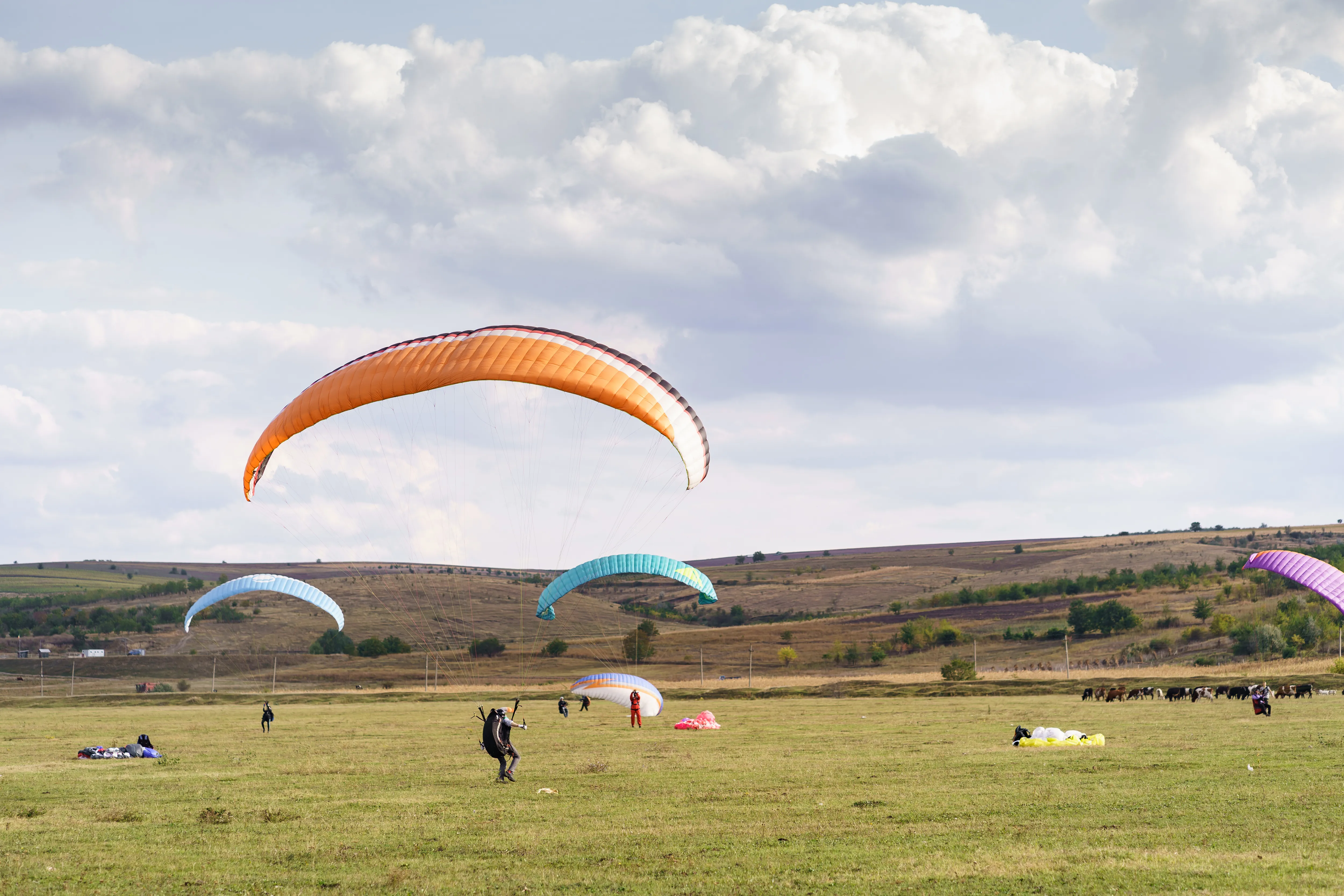 Paragliding over the Malwa Plateau