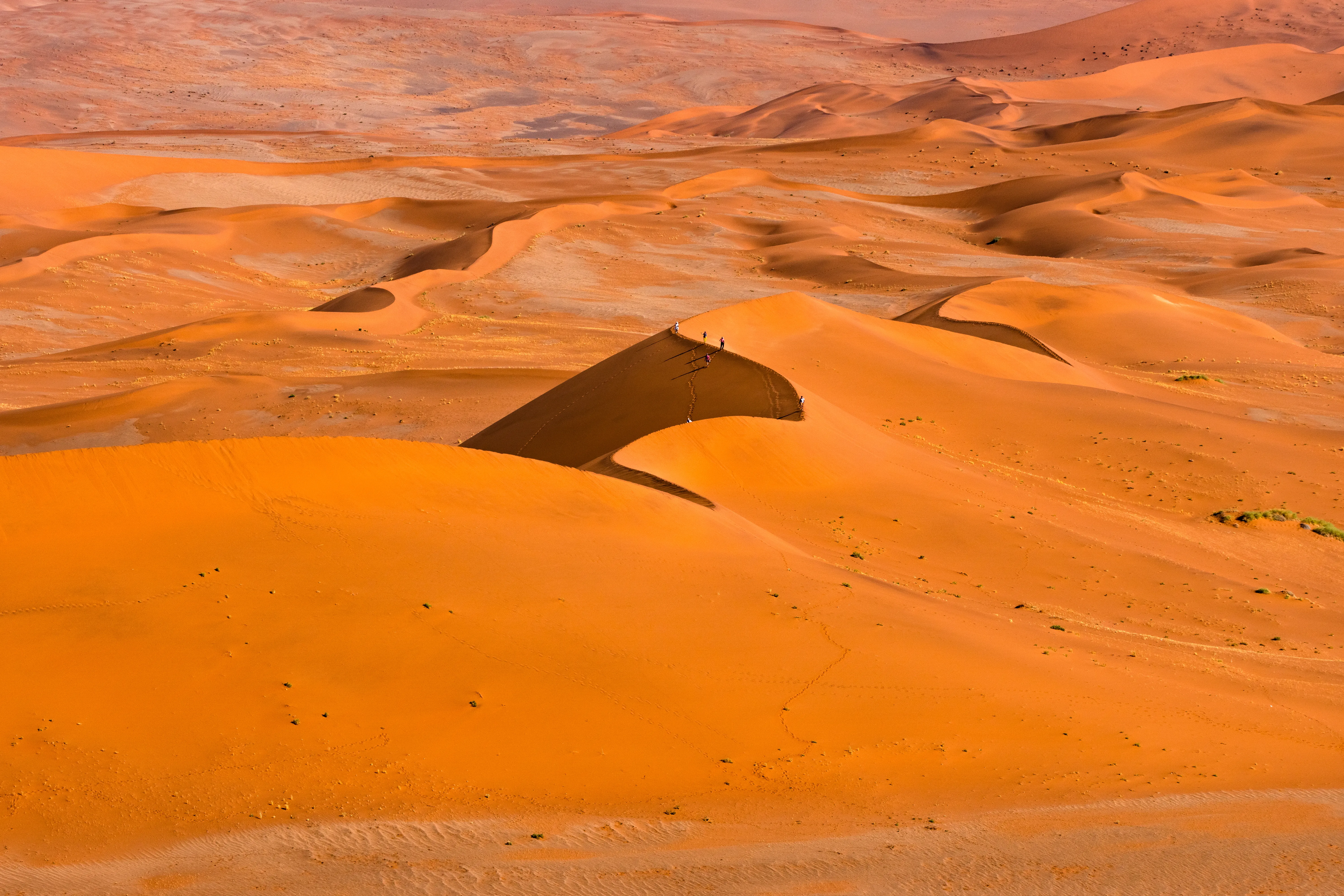 Wahiba Sands