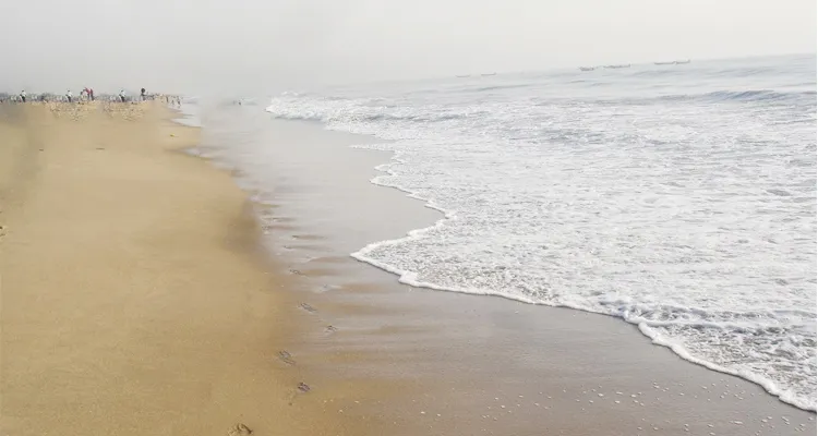 Edward Elliots Beach