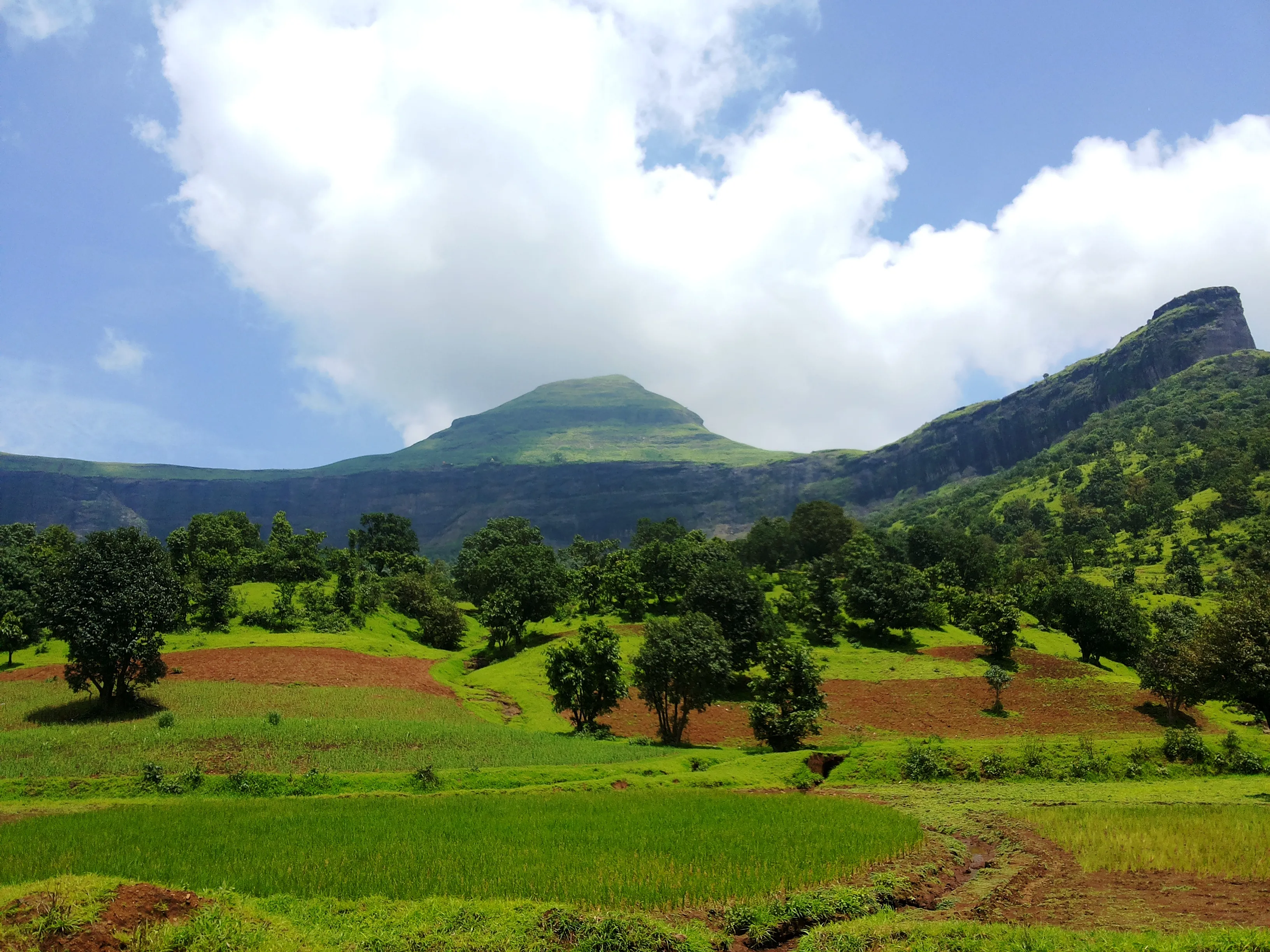Brahmagiri Hill