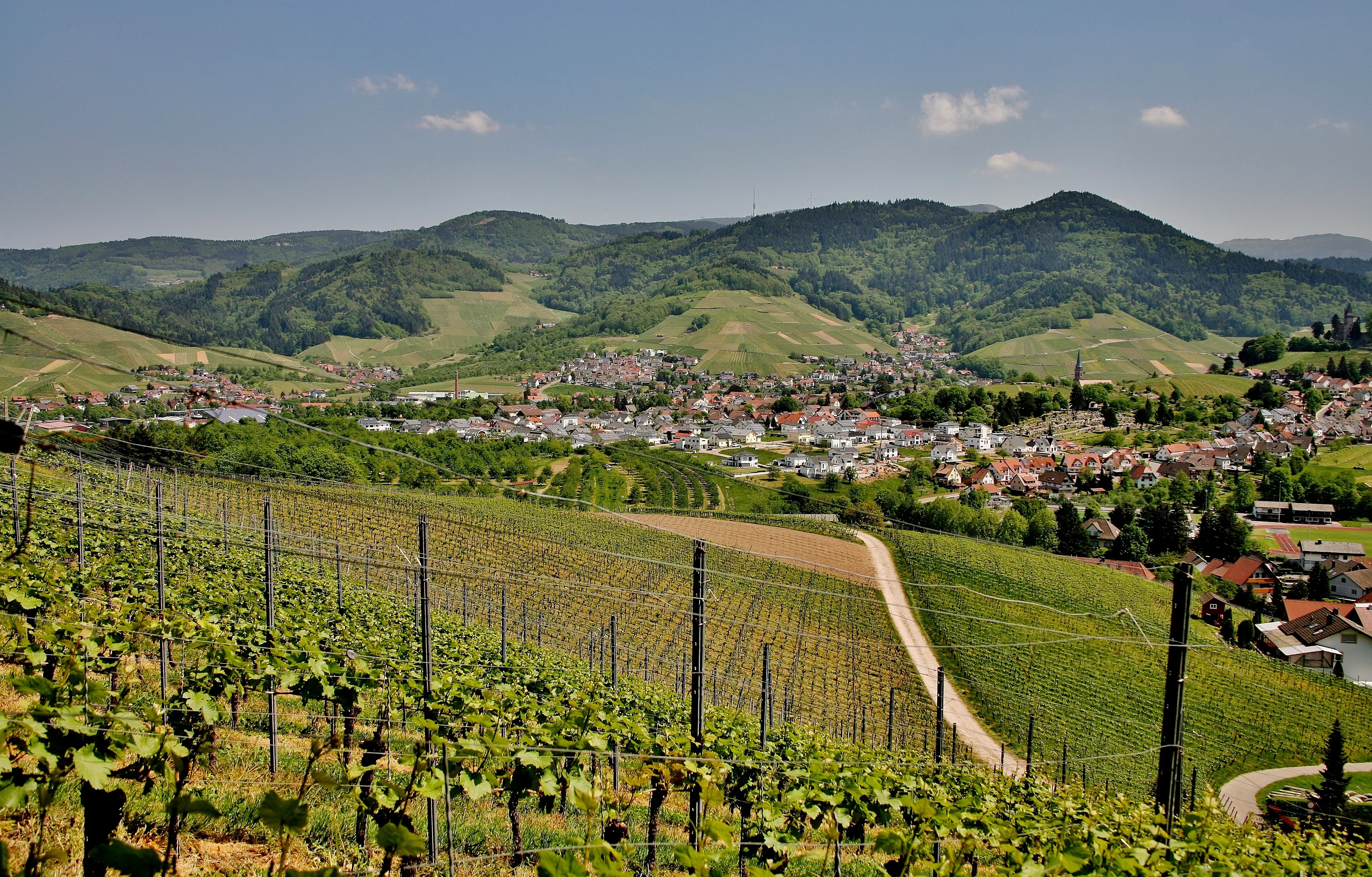 Vallonne Vineyards