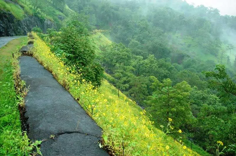 Suryamal Peak