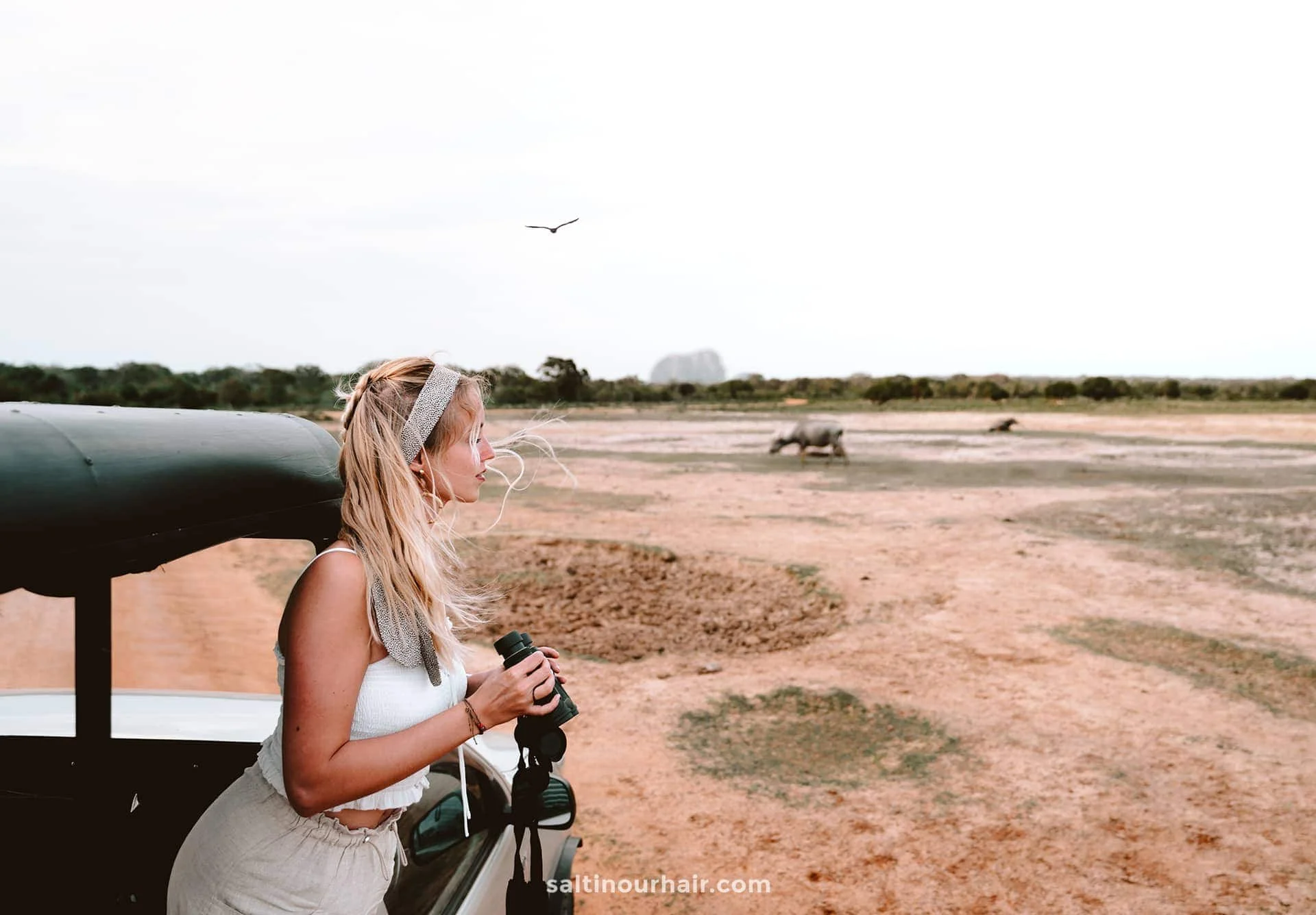 Yala National Park in Sri Lanka