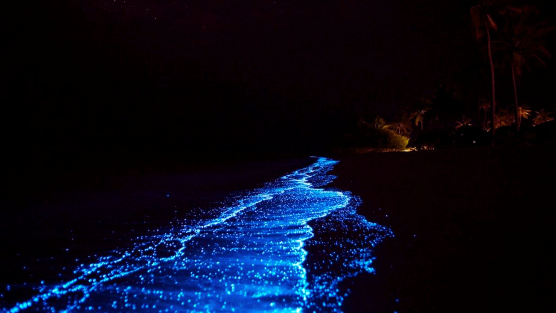 Maldives Glowing Beach in Maldives