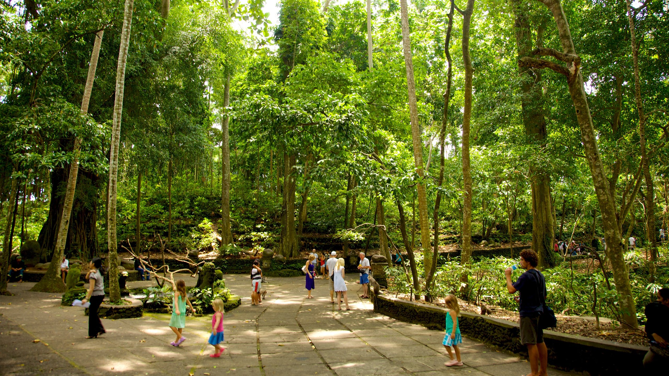 Ubud Monkey Forest in Bali