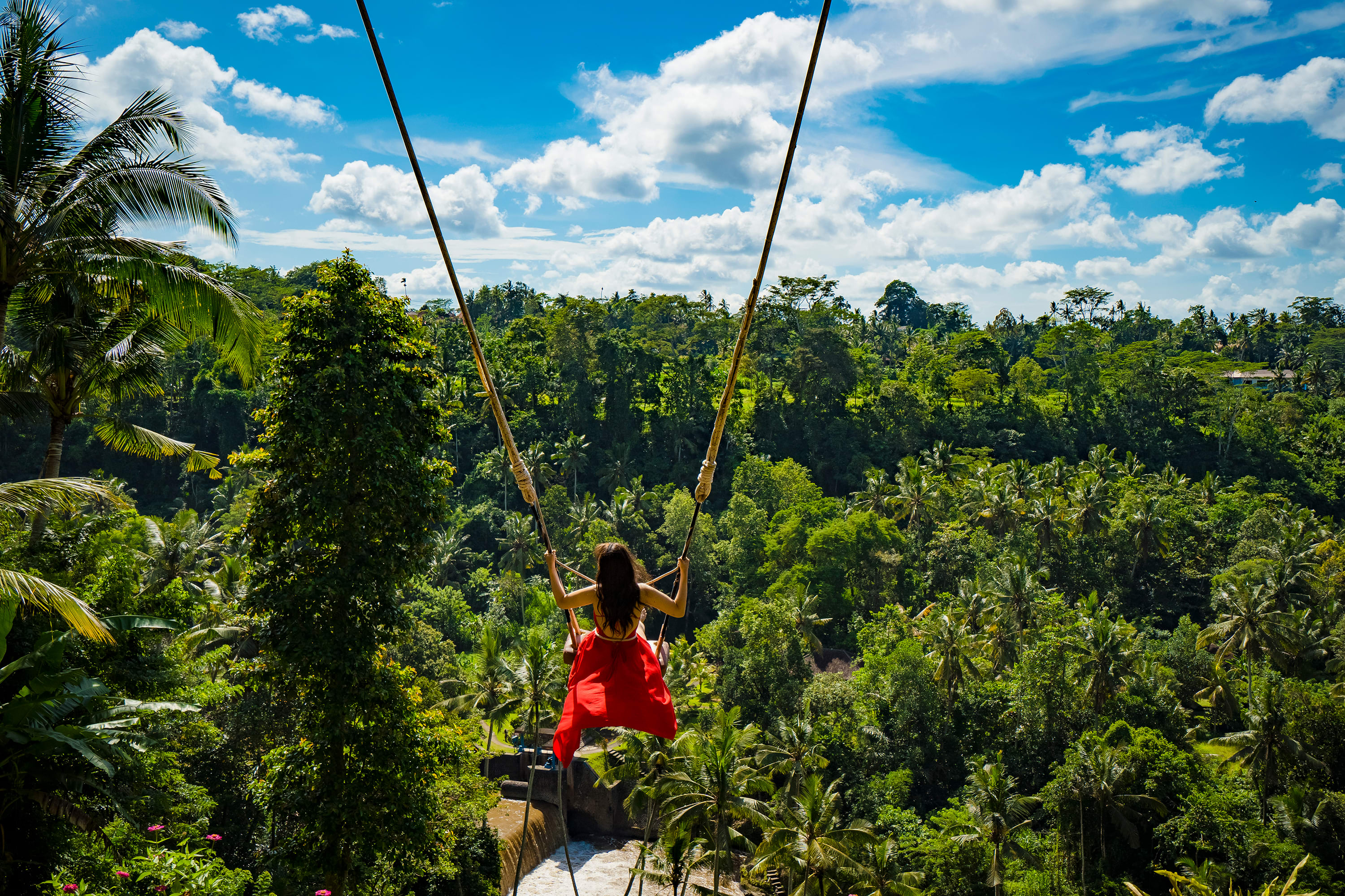 Bali Swing in Bali