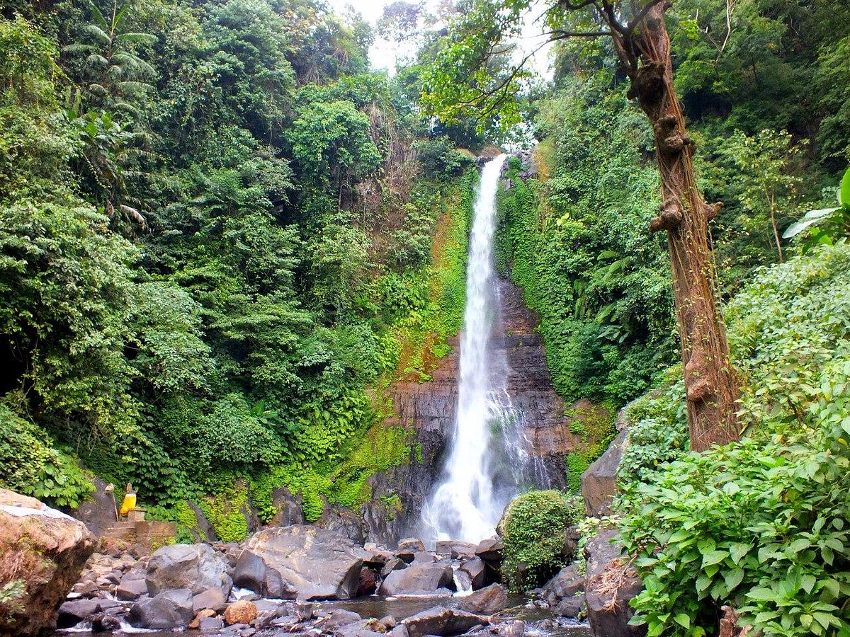 Gitgit Waterfall in Bali