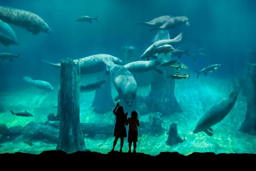 River Wonders in Singapore