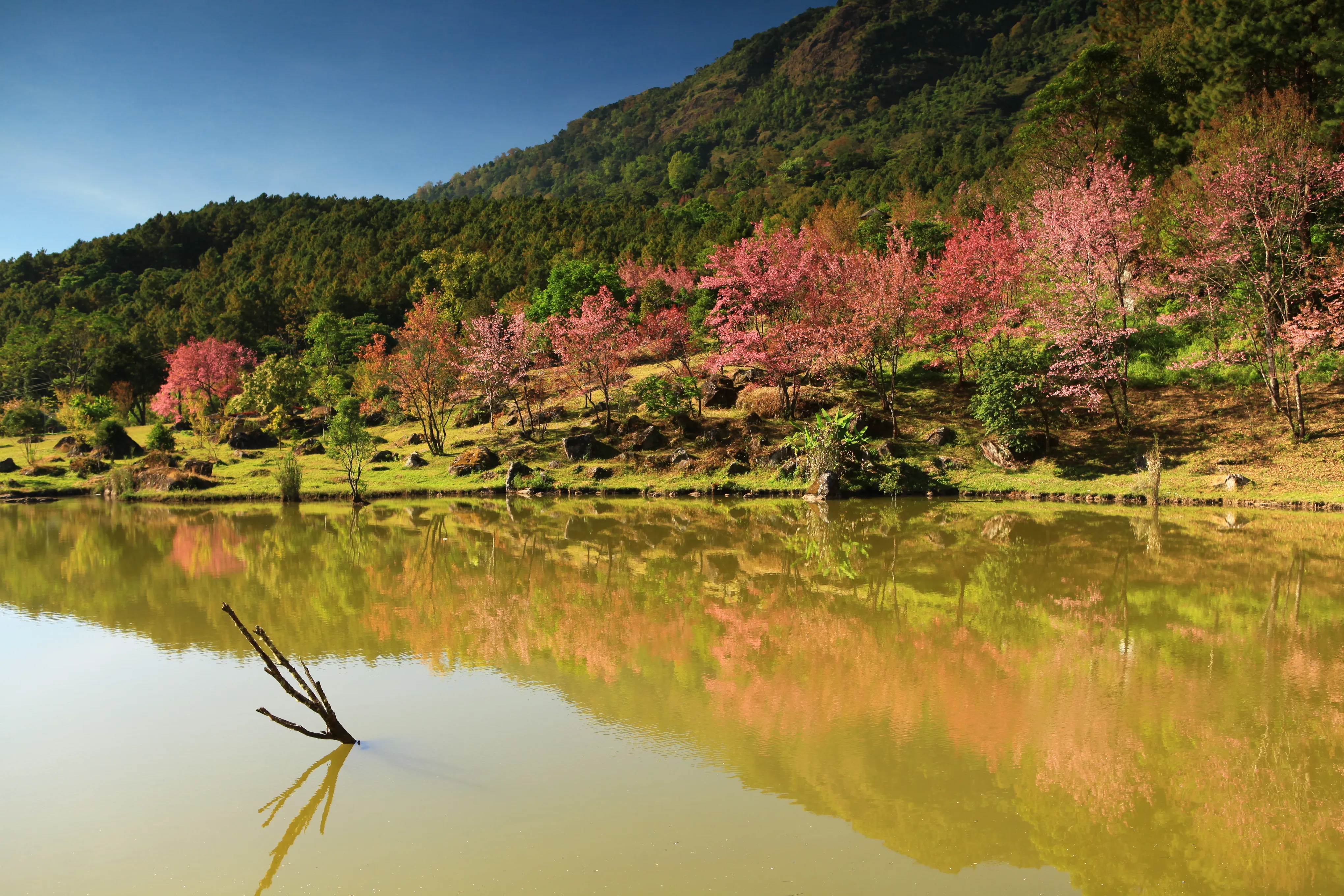 Doi Inthanon National Park in Thailand