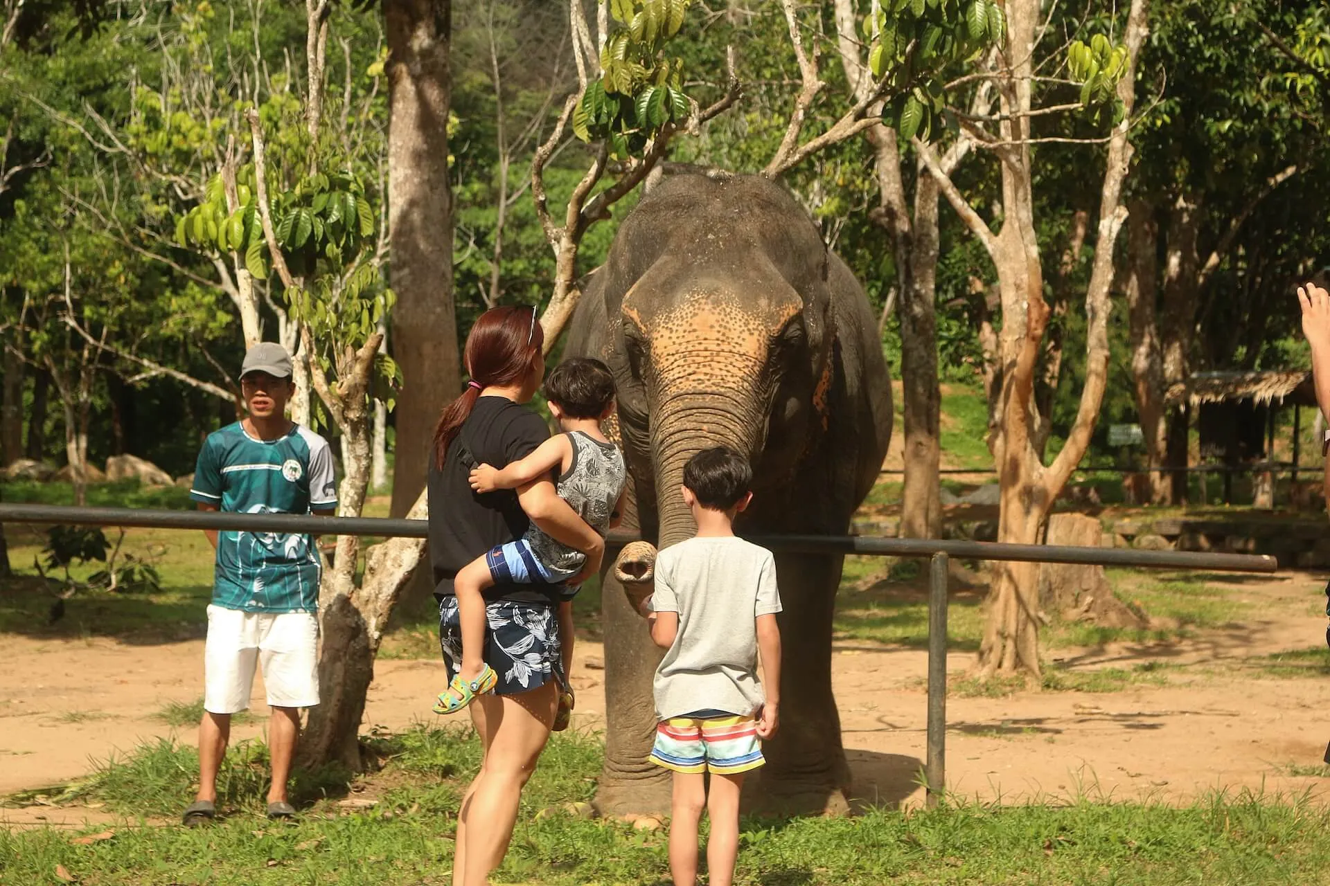 Phuket Elephant Nature Reserve in Thailand