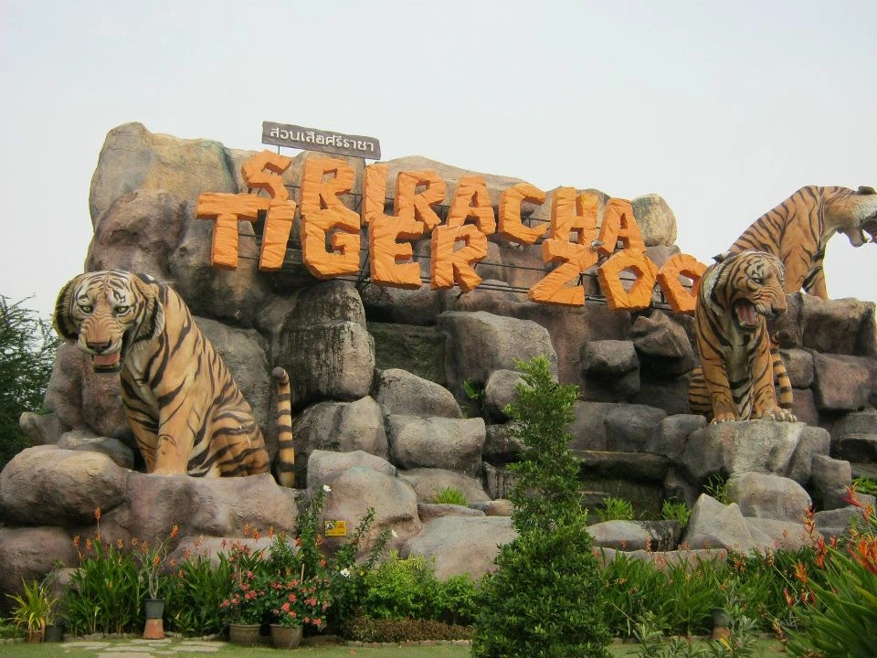Sriracha Tiger Zoo in Thailand