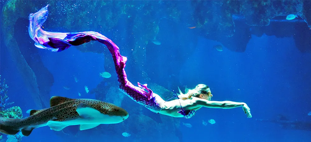 Phuket Aquarium in Thailand