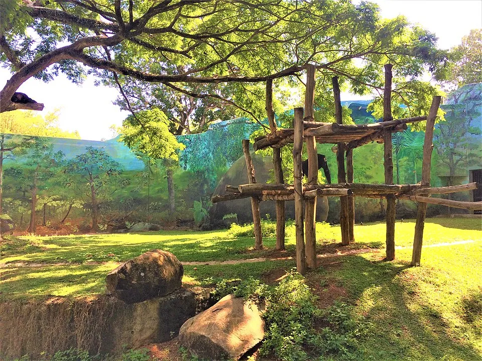 Dehiwala Zoo in Sri Lanka