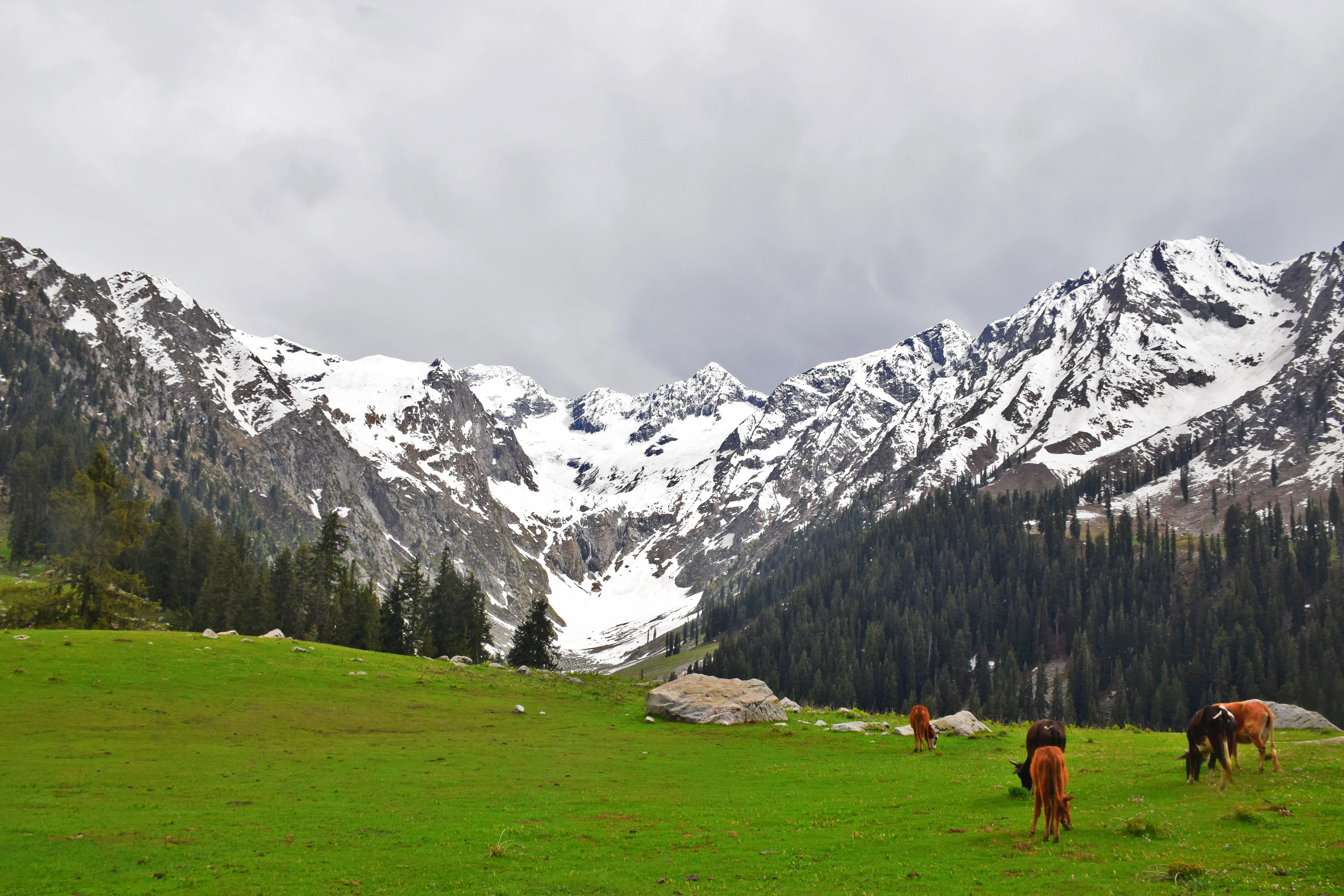 Chashme Shahi in Kashmir