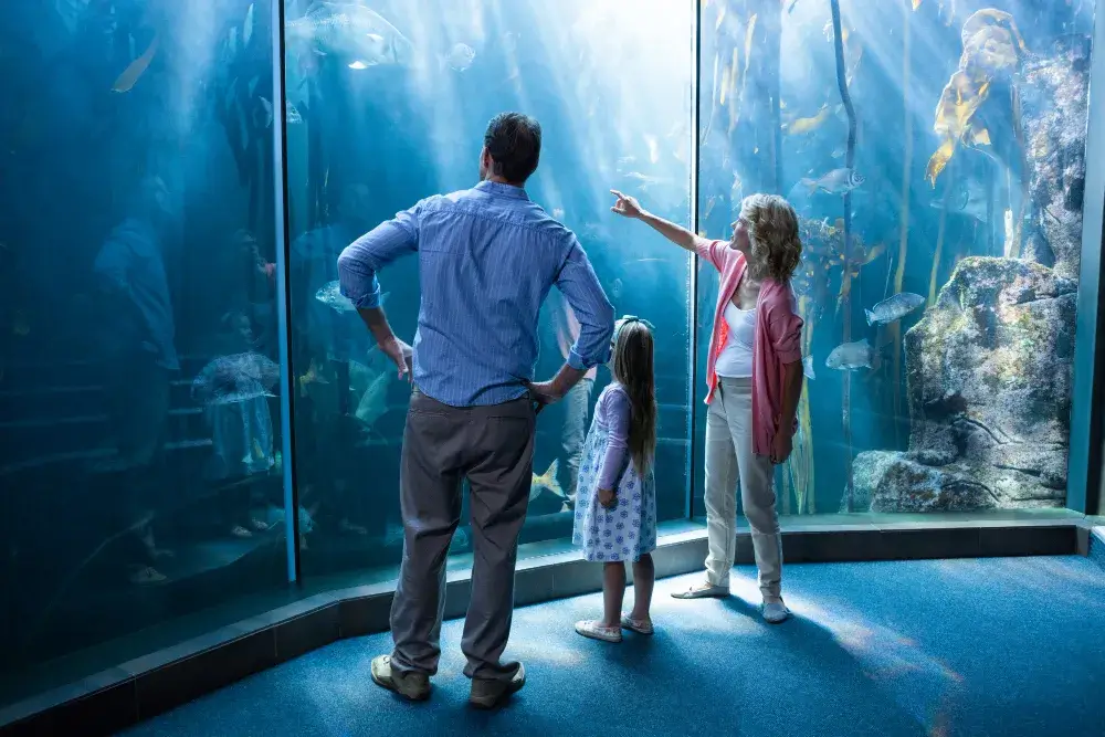 Dubai Aquarium & Underwater Zoo in Dubai