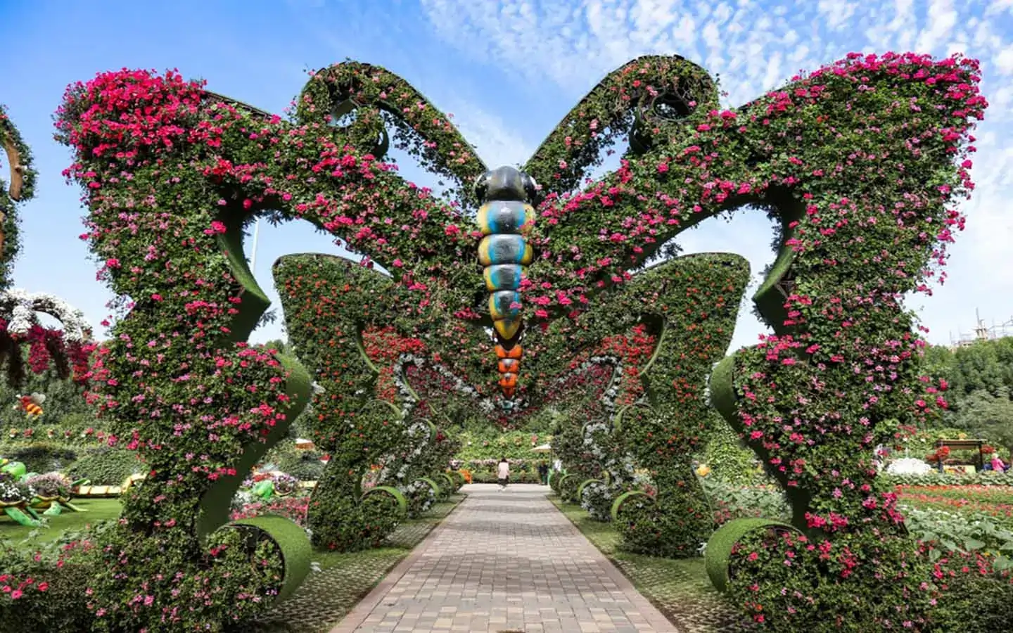 Dubai Butterfly Garden in Dubai