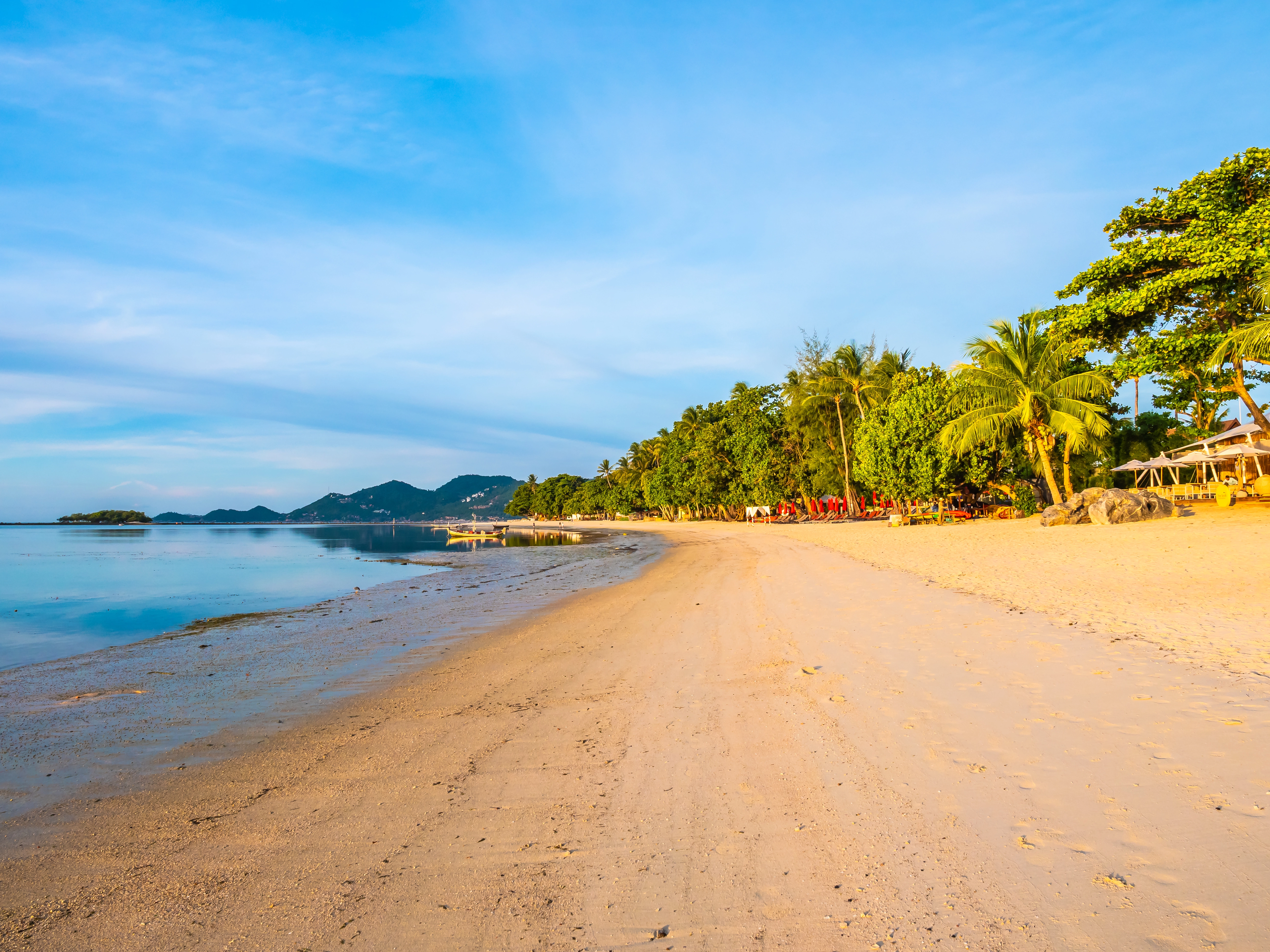 Cherai Beach in Kerala