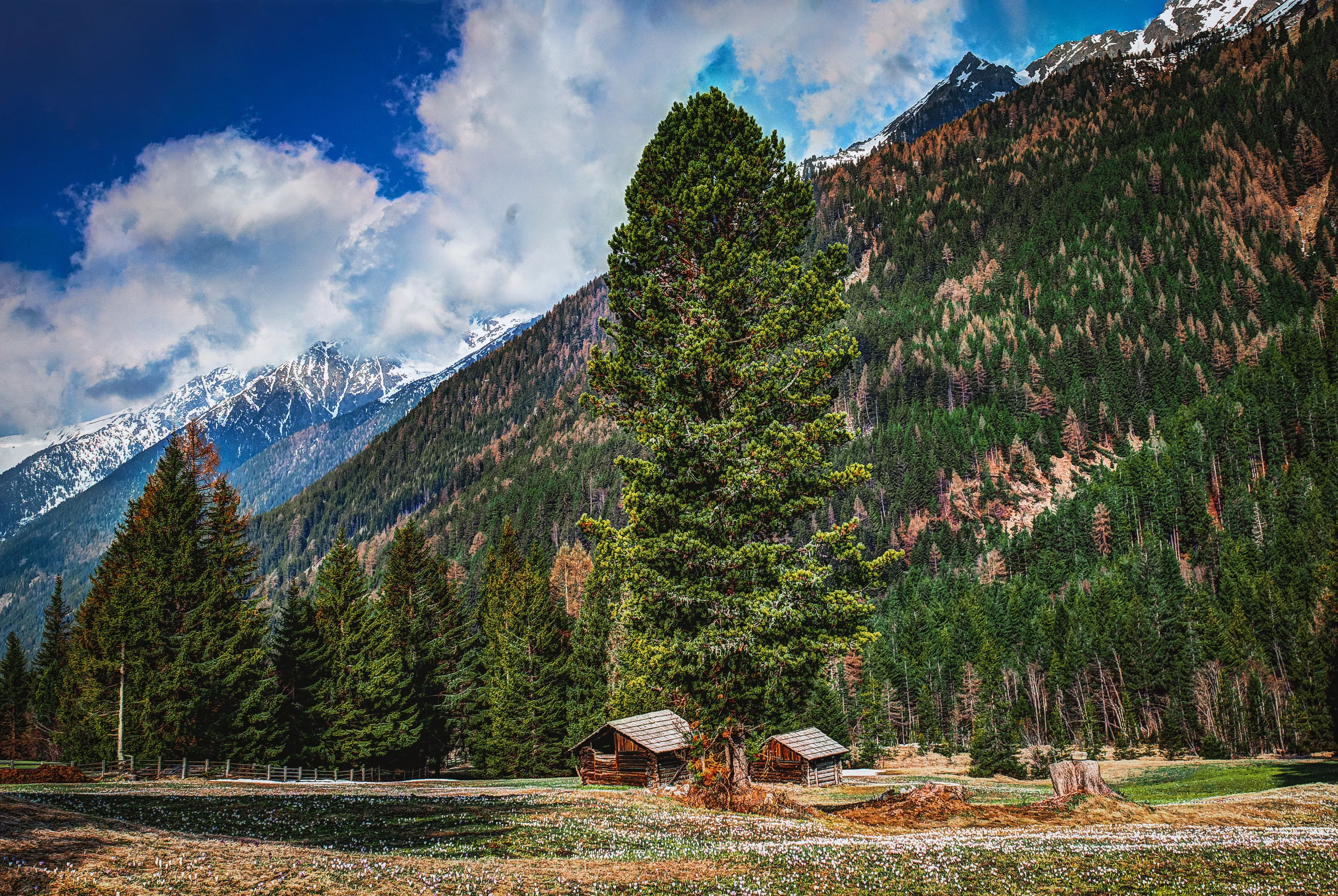 Puga Valley in Kashmir