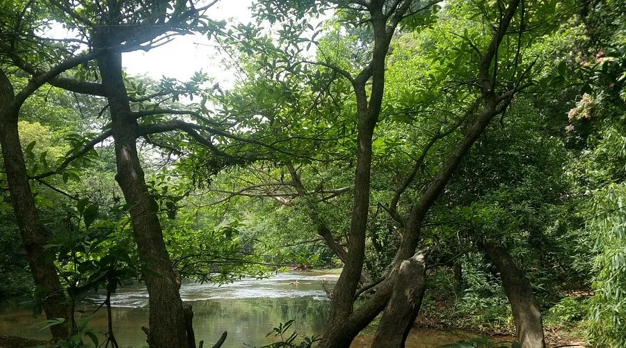 Illithode in Kerala