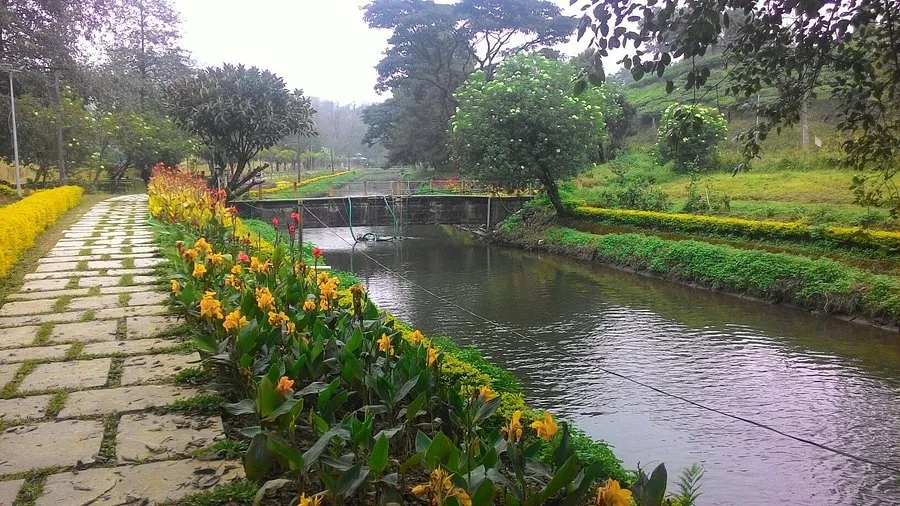 Blossom Park Dark Forest in Kerala