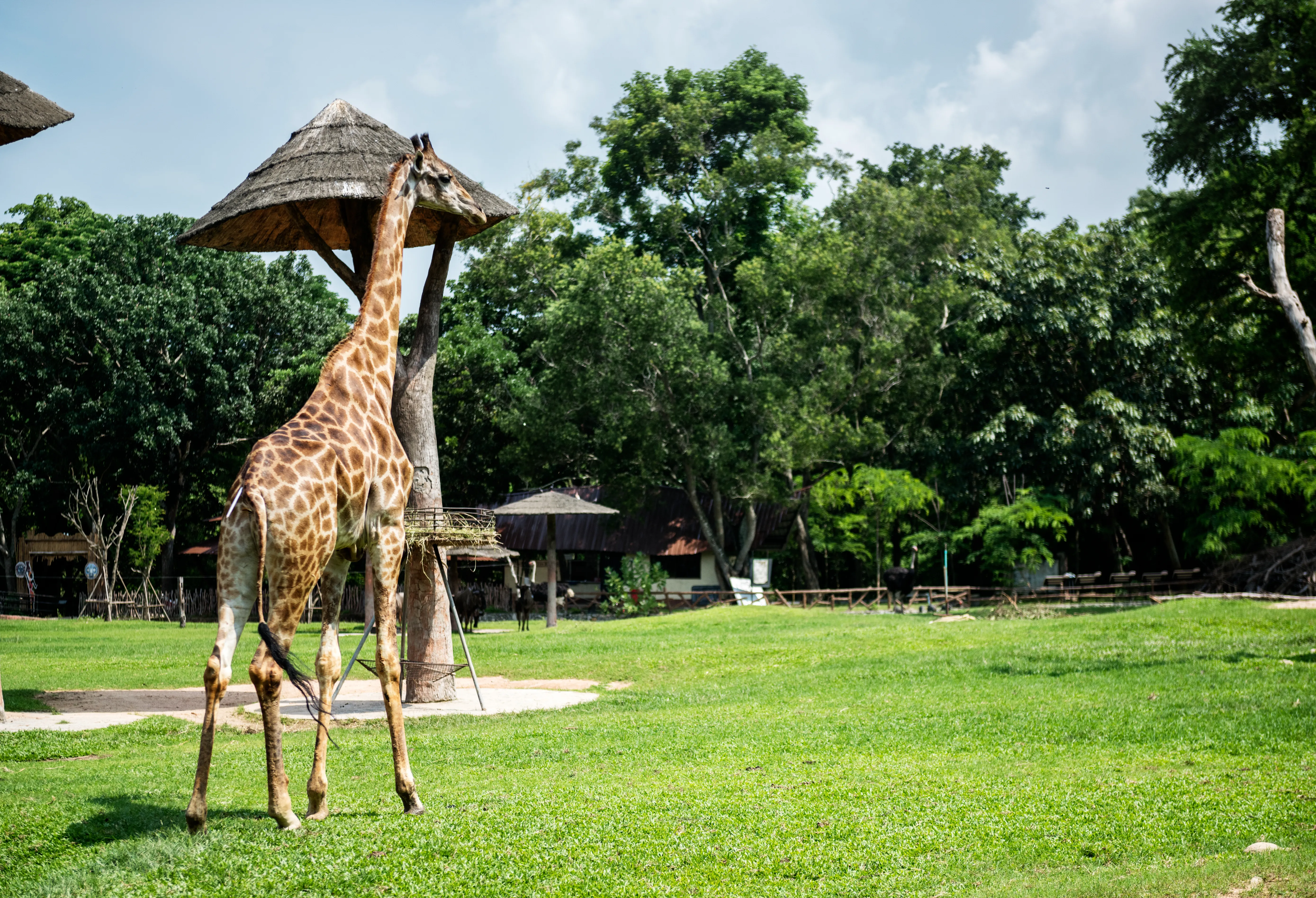 Indore Zoo in Indore