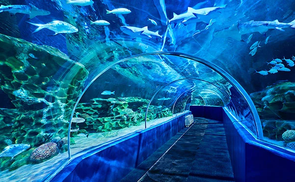 VGP Marine Kingdom in Chennai